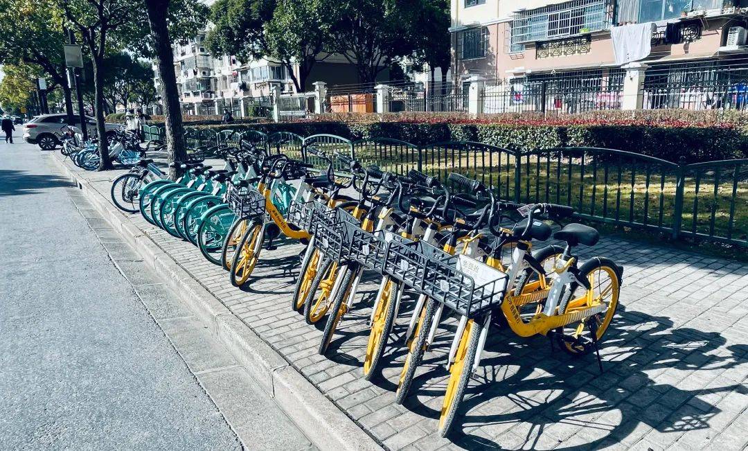 Colorful shared bicycles lined up neatly at a bike parking area in a Chinese city