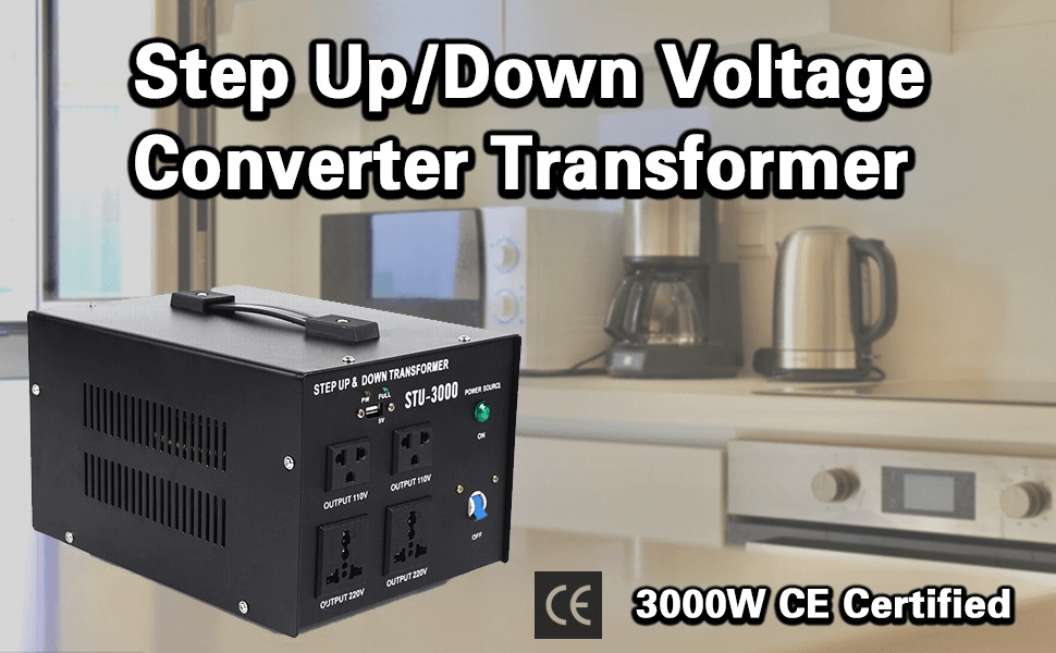 Voltage converter with different wattage ratings