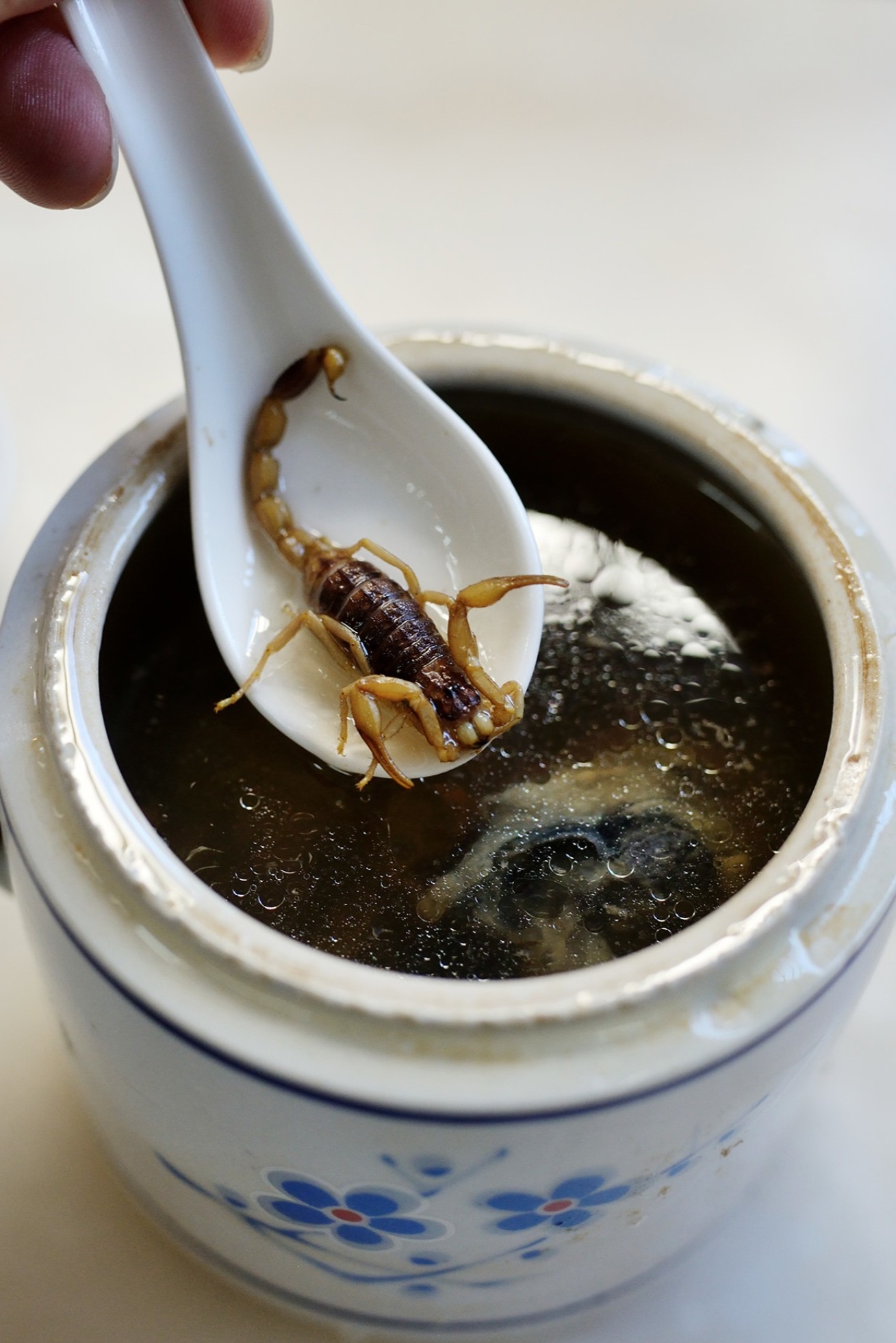  A close-up of the Codonopsis Silkie Chicken and Scorpion Stew, showing the dark, clear broth, tender chicken, and whole scorpions in the ceramic stewing pot.