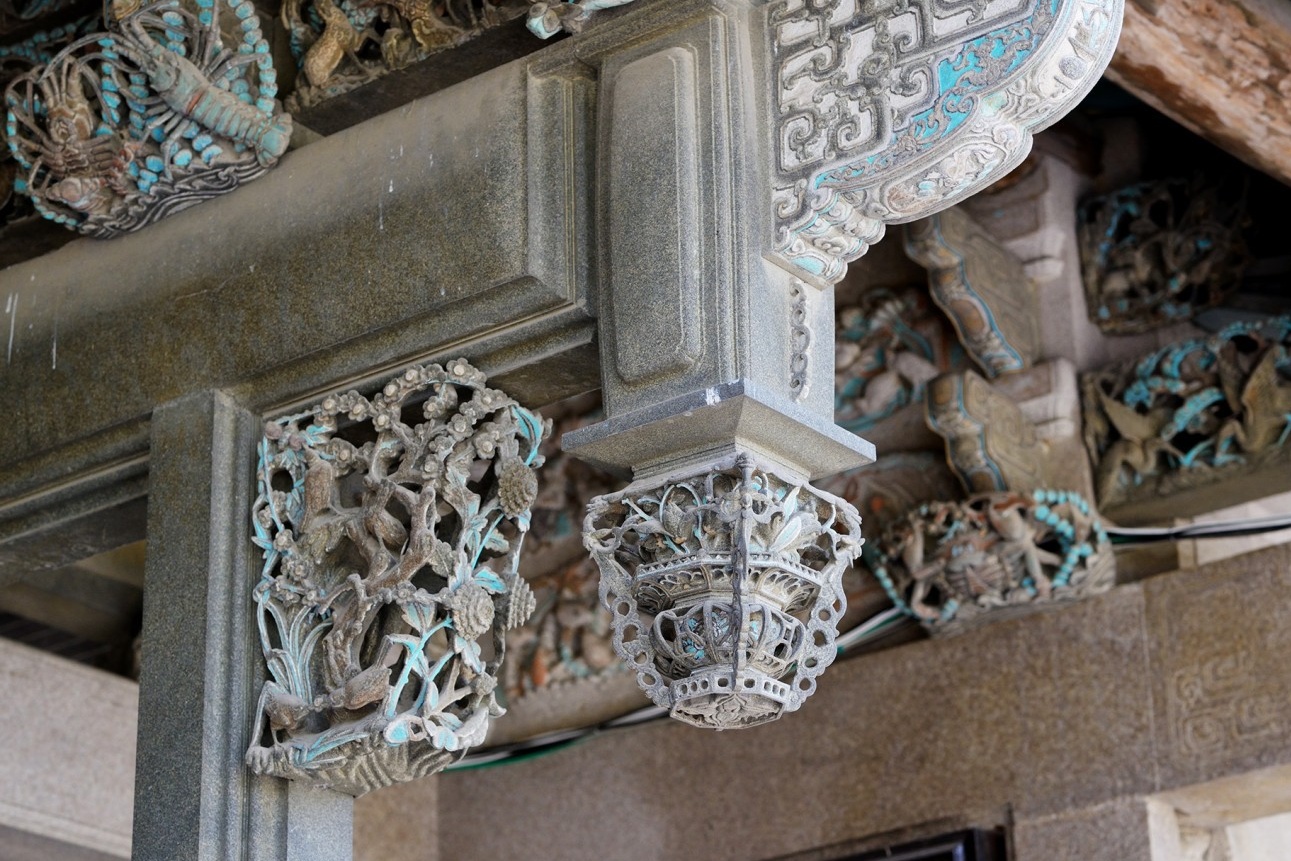  A close-up shot of one of the magnificent