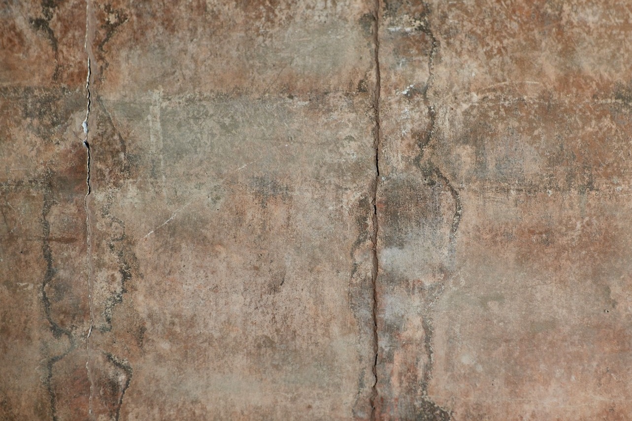  showing the intricate bamboo lattice beneath the plaster