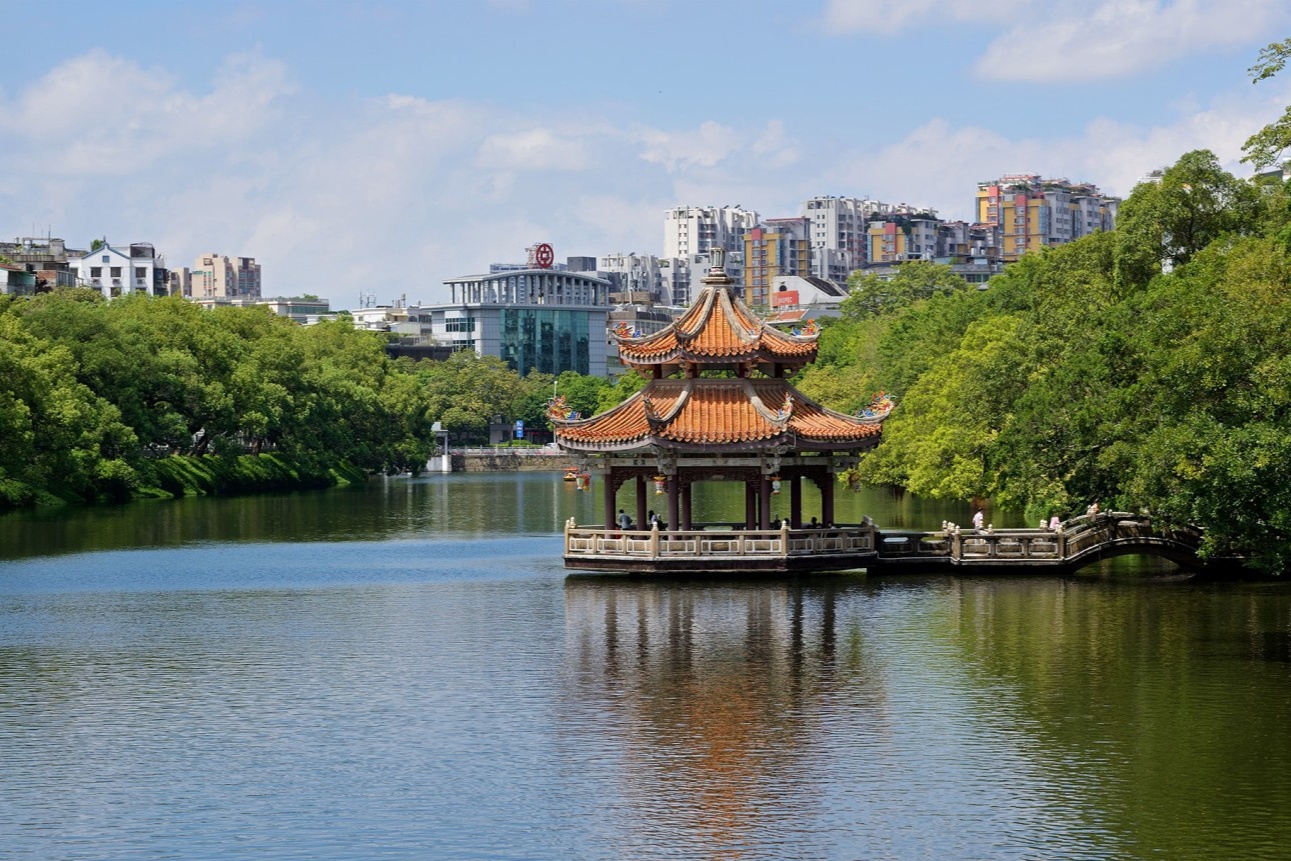  weeping willows lining the shore, and calm water reflecting the sky
