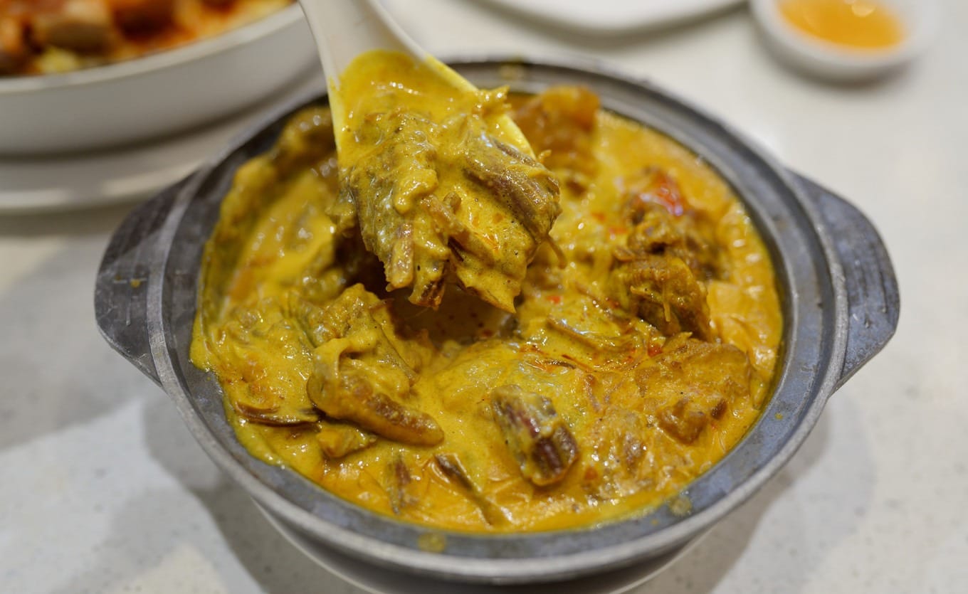 Curry beef brisket with rich golden sauce and tender beef