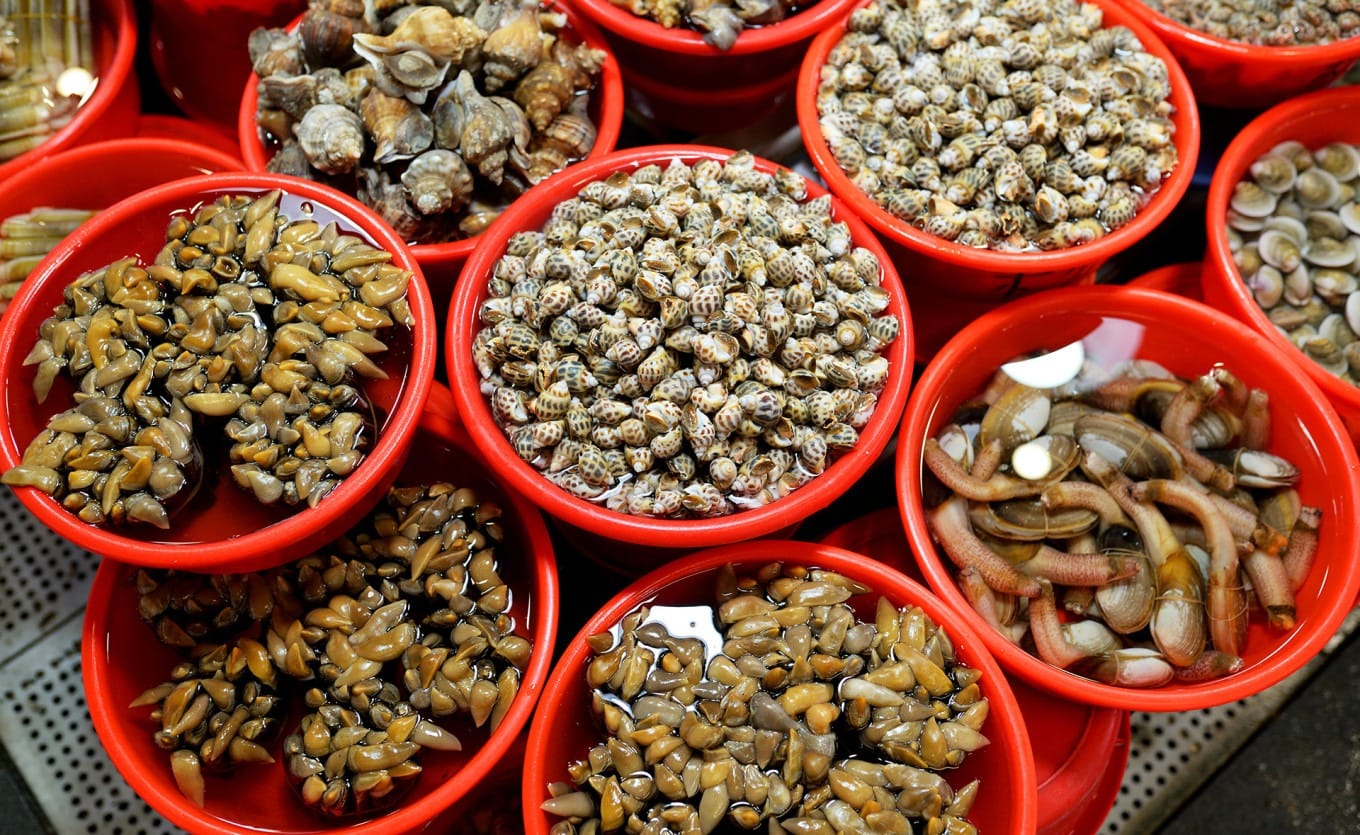 Assorted shellfish neatly arranged at Shekou Market seafood stalls