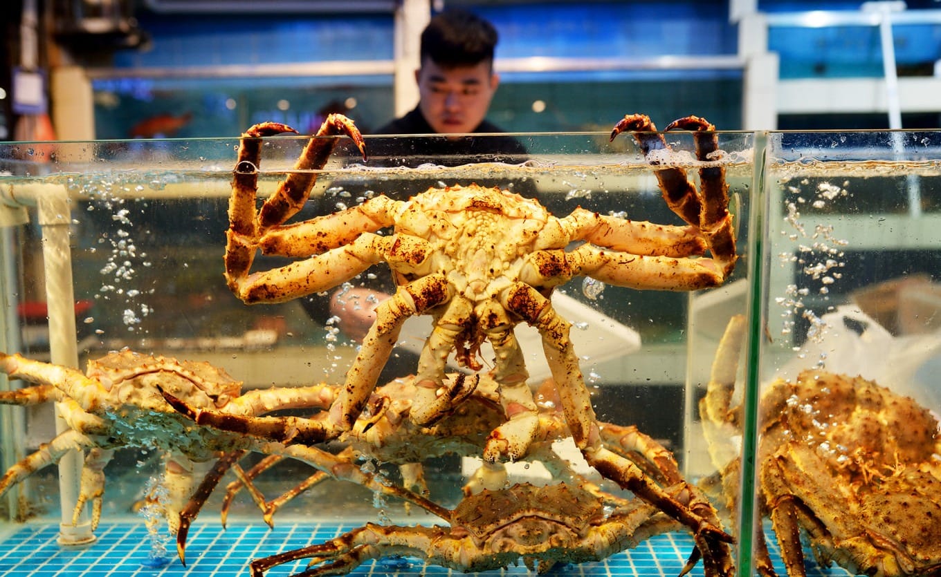 Large king crabs displayed at a premium seafood stall in Shekou Market