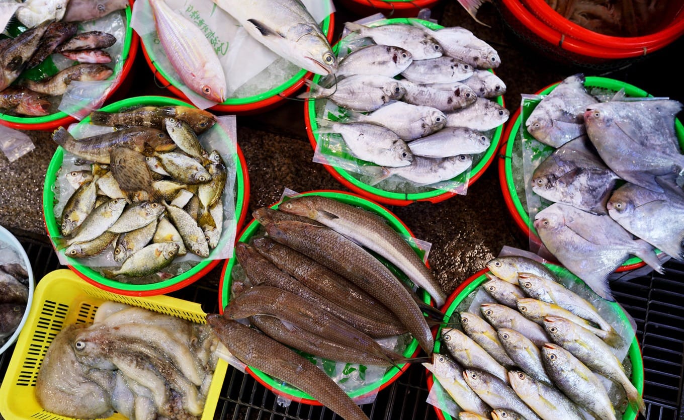 Selection of common sea fish including pomfret and yellow croaker at Shekou Market