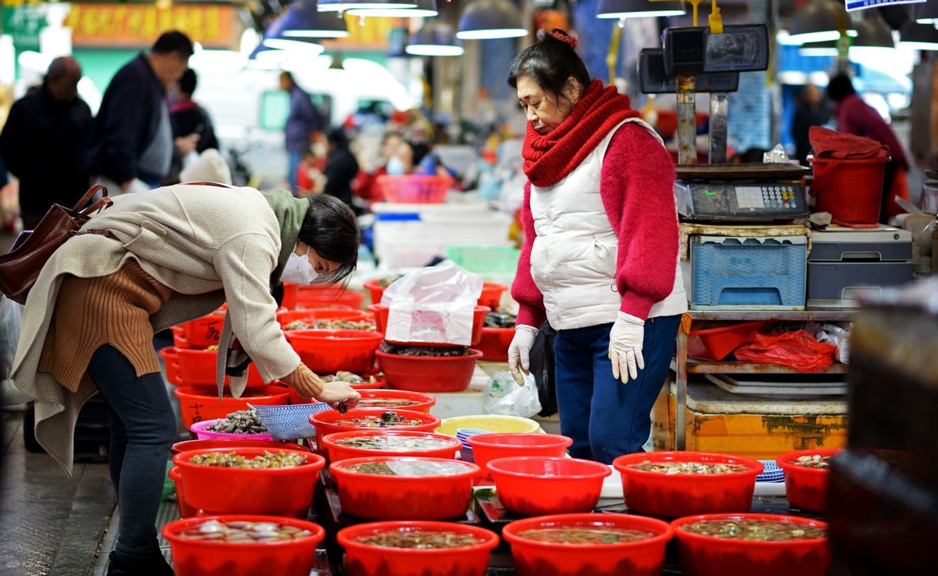 Variety of sea snails and clams displayed under bright market lighting