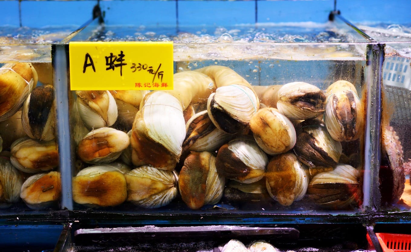North American geoduck clams with long siphons at Shekou Market