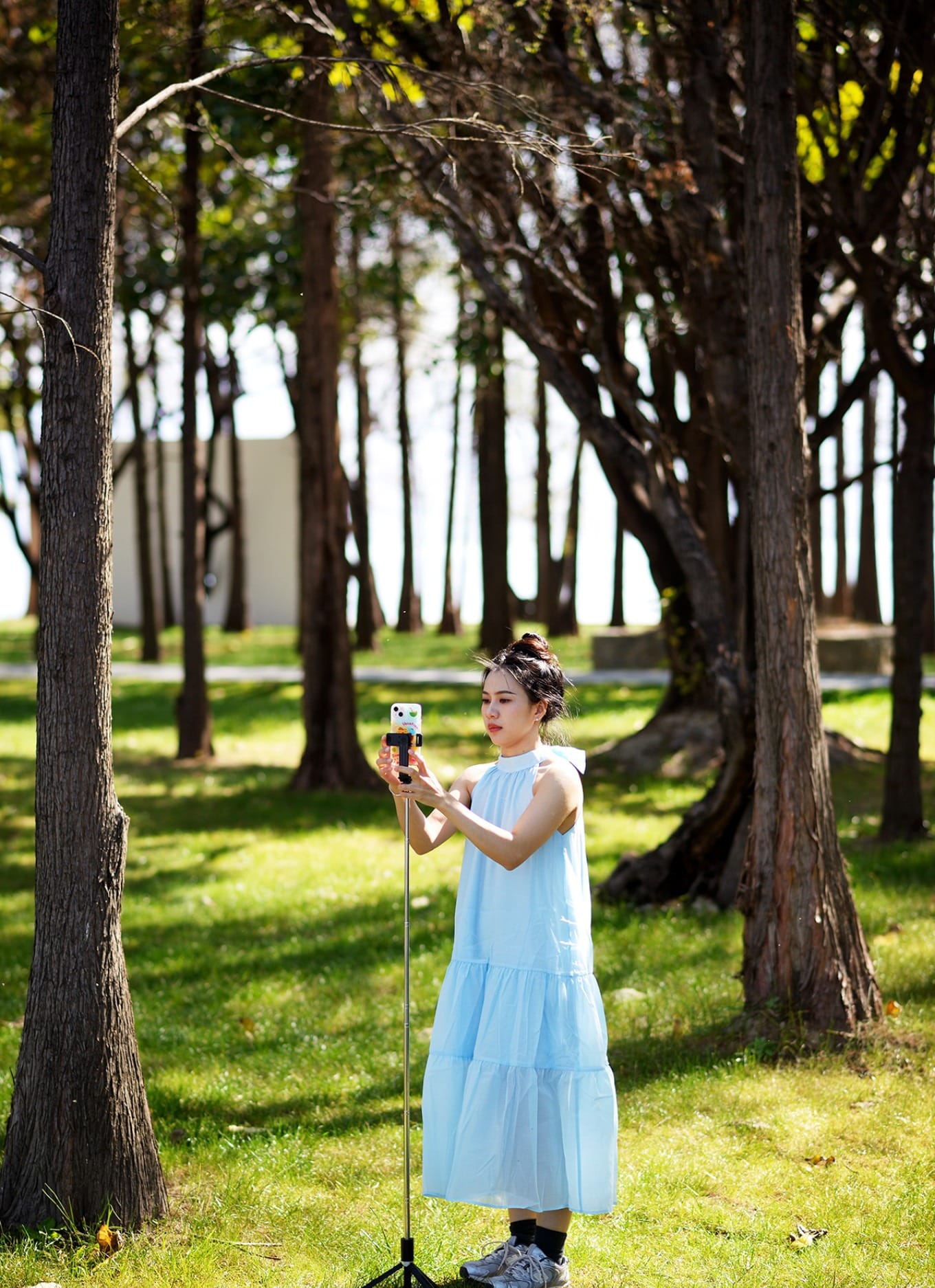 Close-up of tree roots submerged in clear lake water