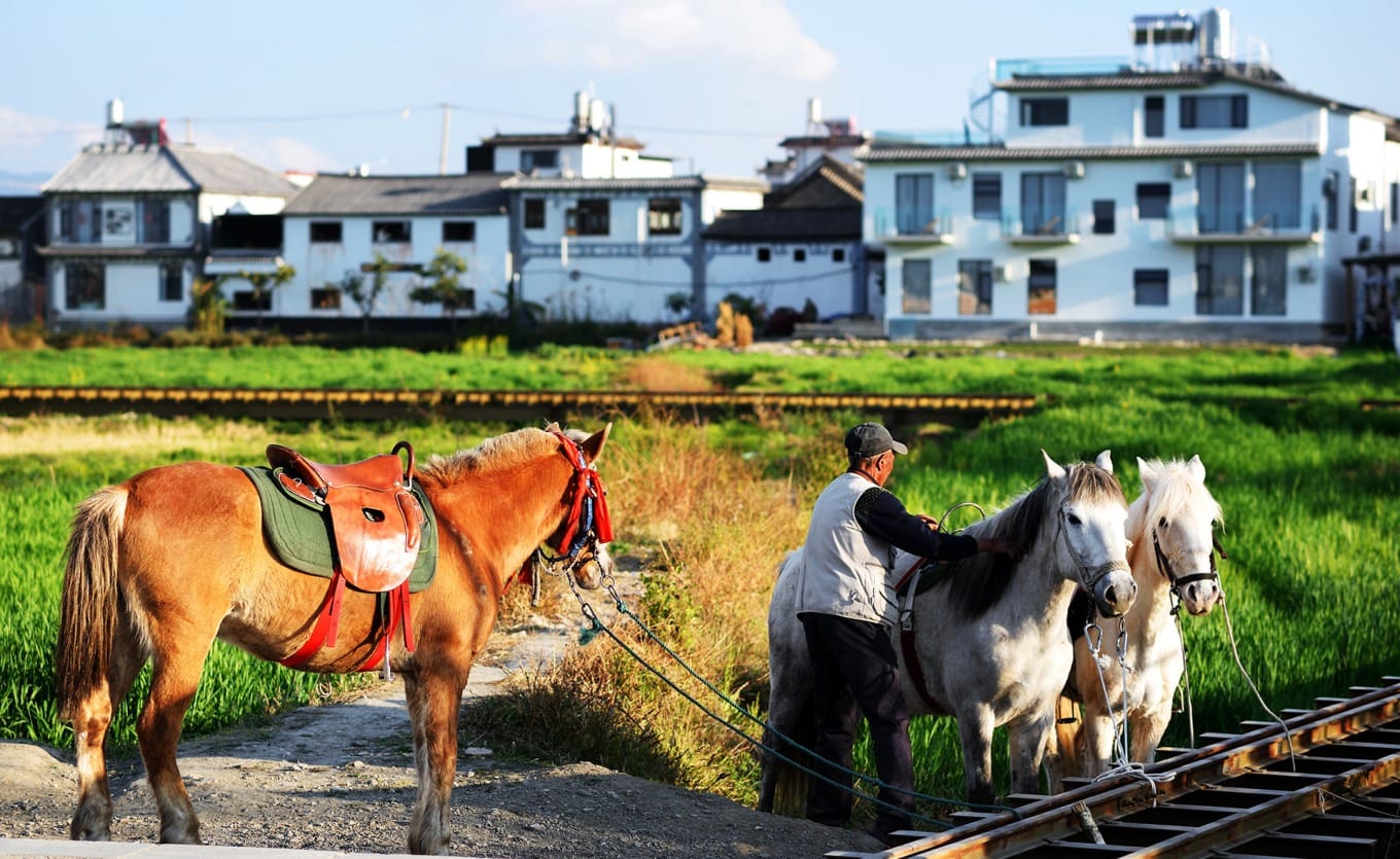 Sunset over the wheat fields with the Cangshan Mountains in the distance