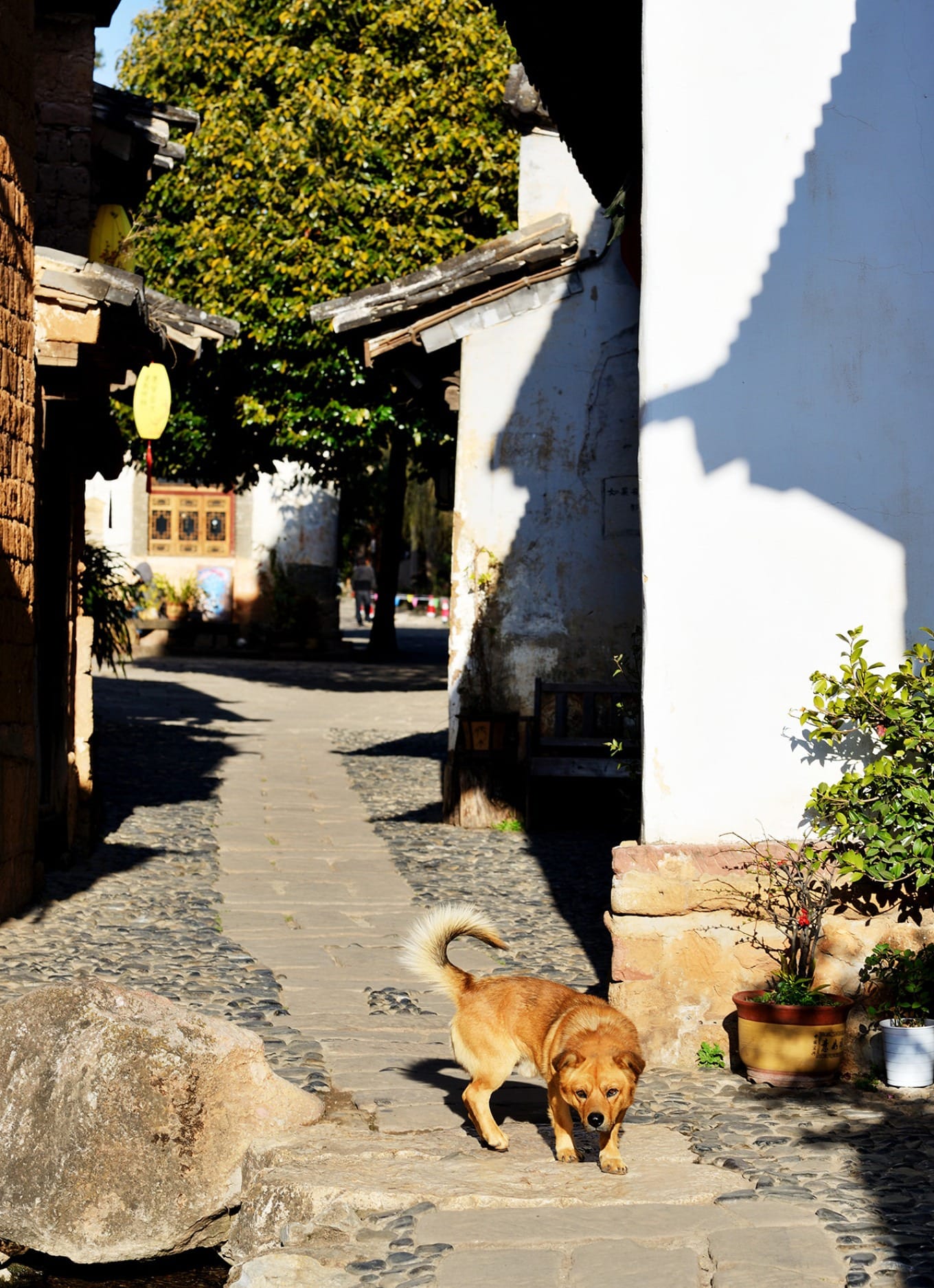 Handcrafted items on display inside Grandma A Rui's shop