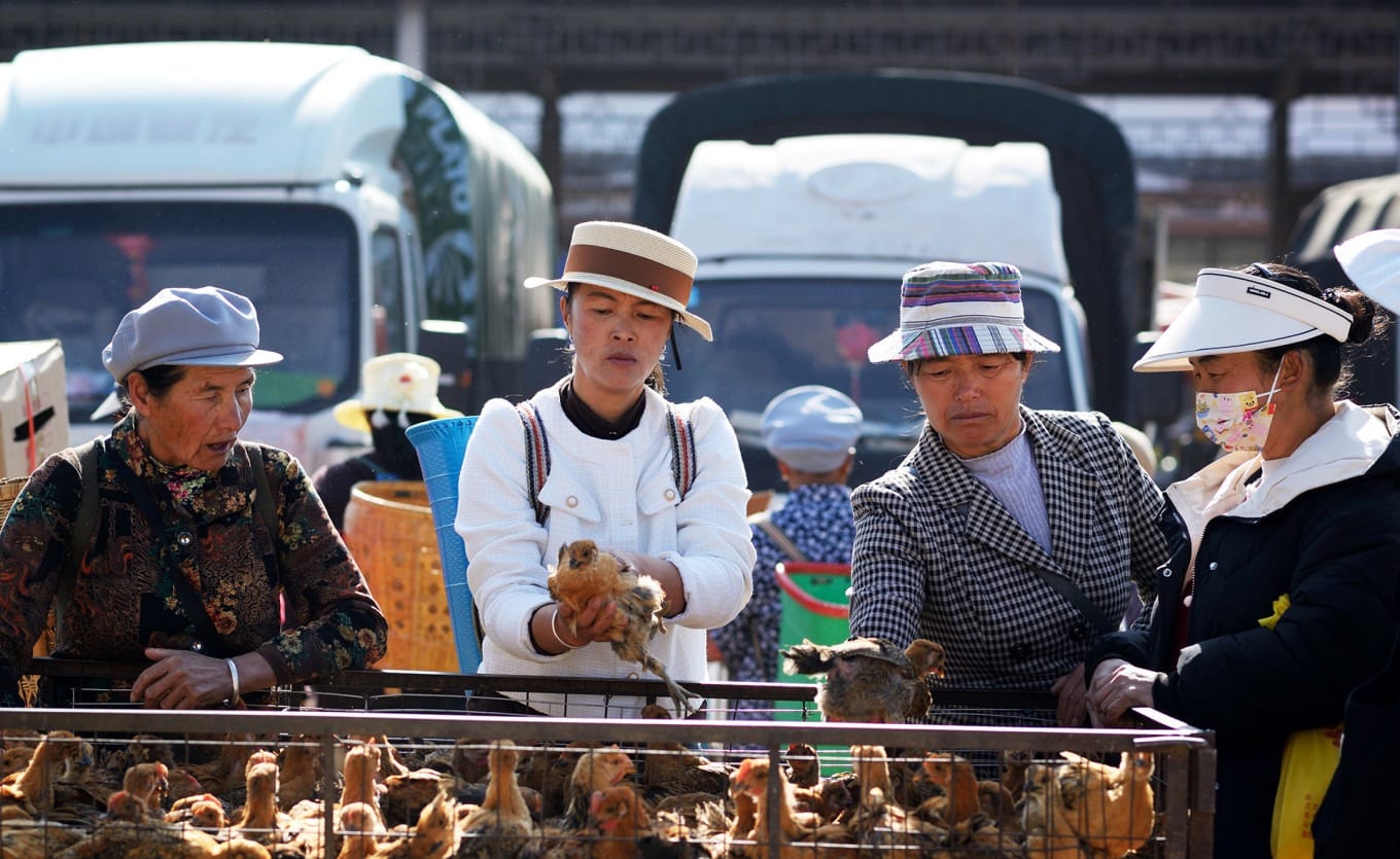 Local woman preparing traditional bean jelly at food stall