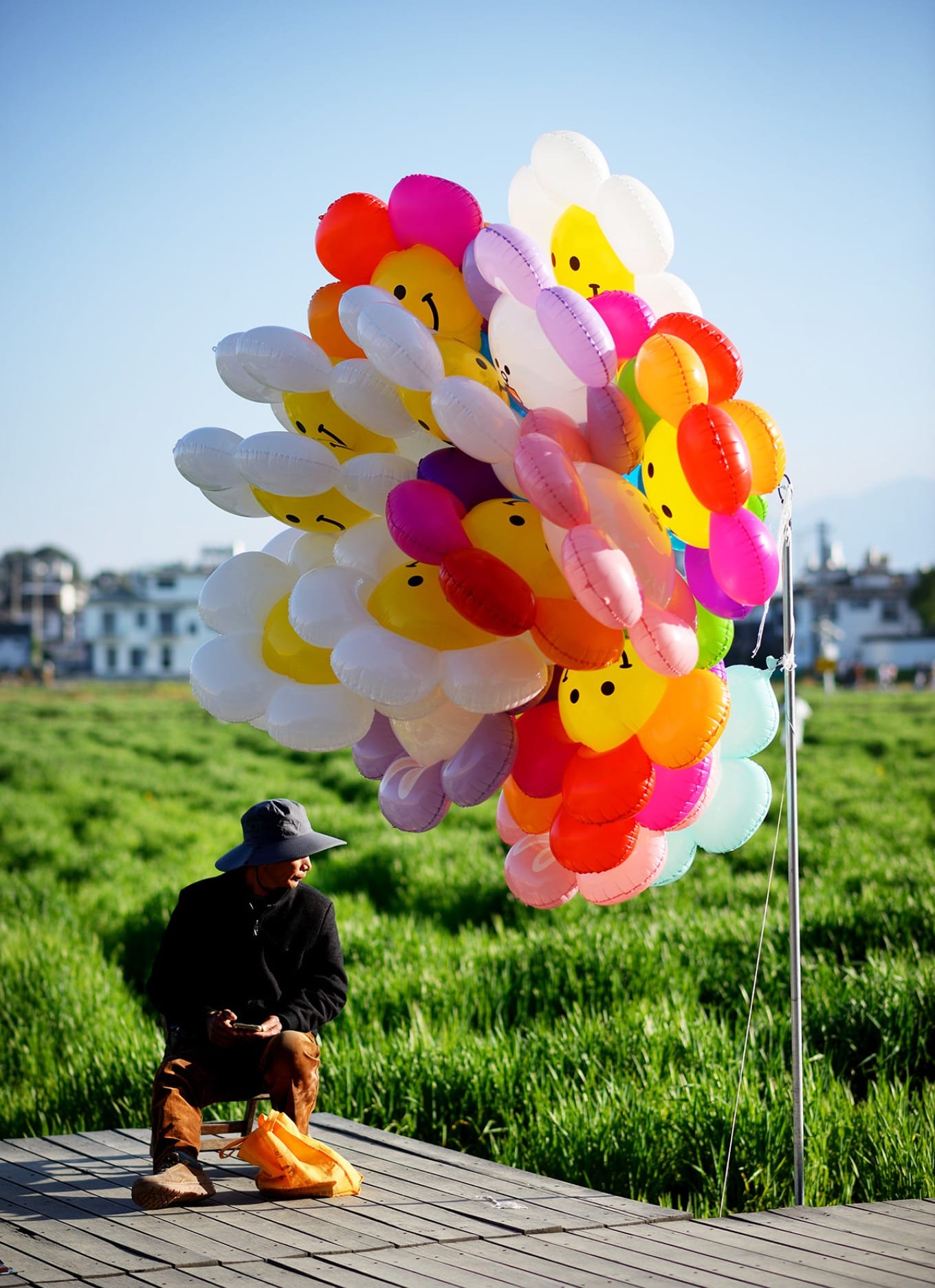 Aerial view showing geometric patterns of the wheat fields