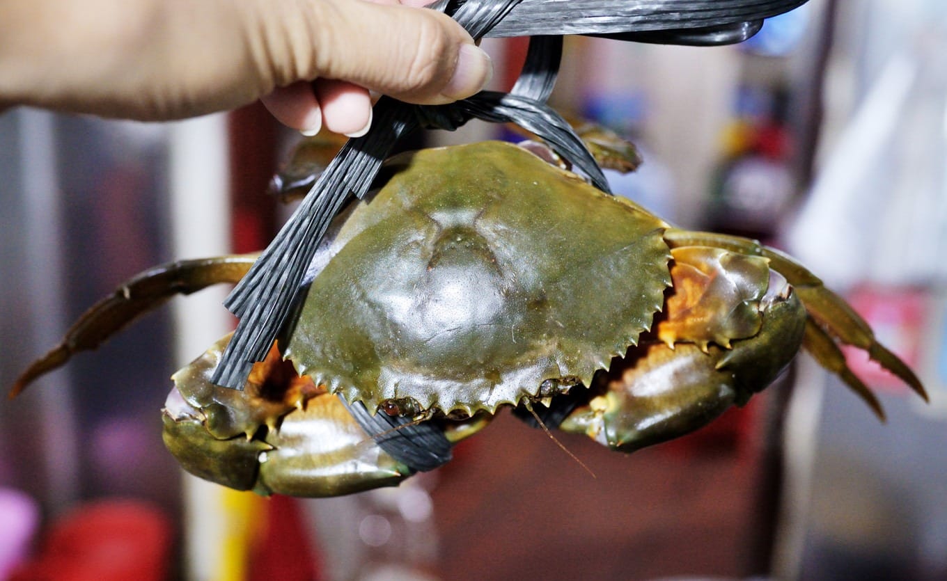 Fresh green crabs and medicinal ingredients at Lao Cai restaurant