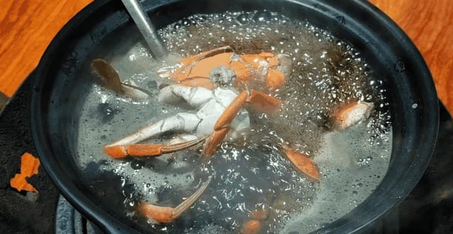 Crabs steaming with medicinal herbs in traditional pot
