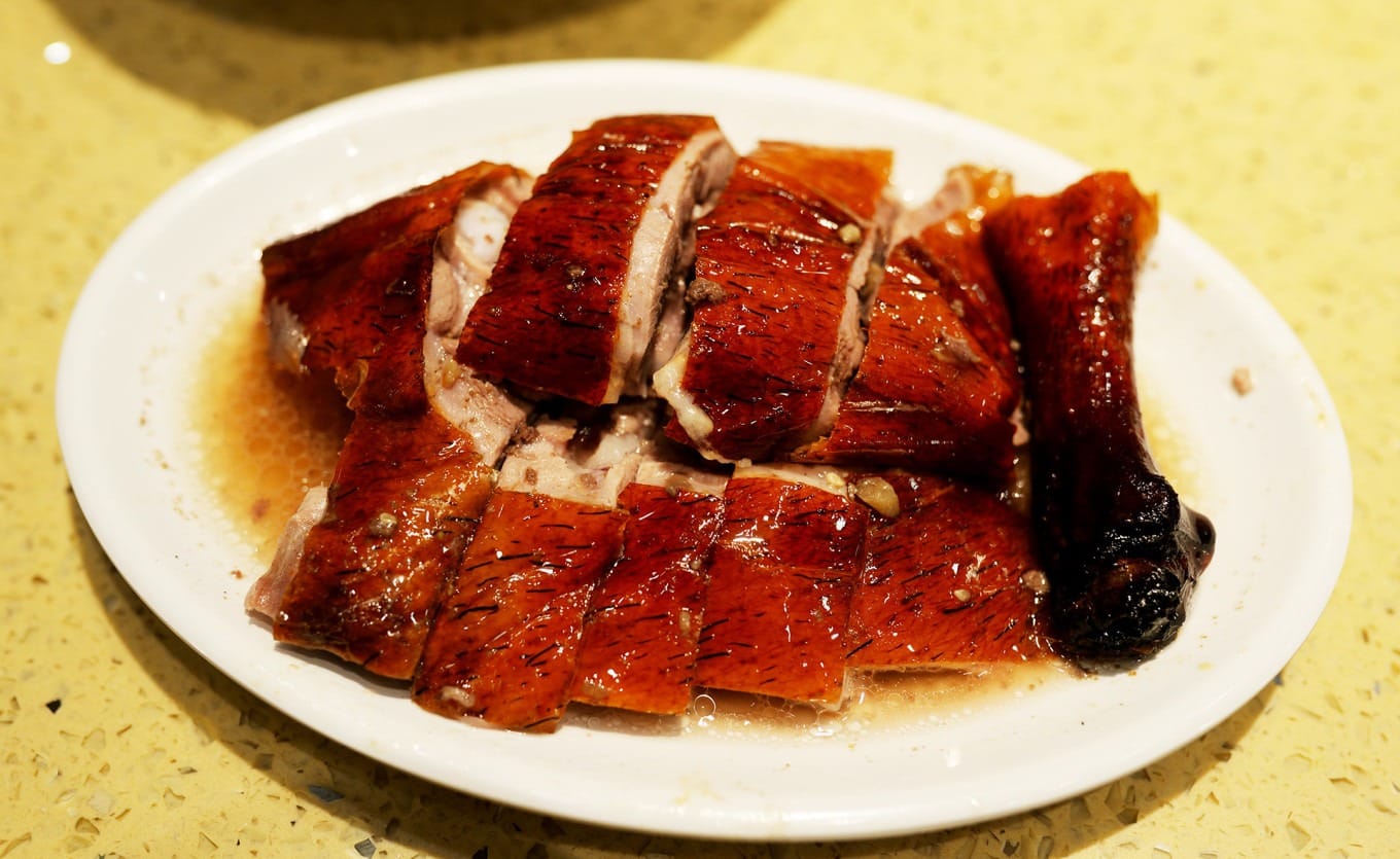 Close-up of Qingyuan Black Bristle Goose with visible bristles
