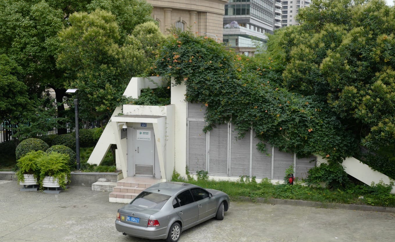 Trumpet creeper flowers blooming along the Huangpu River waterfront in Shanghai