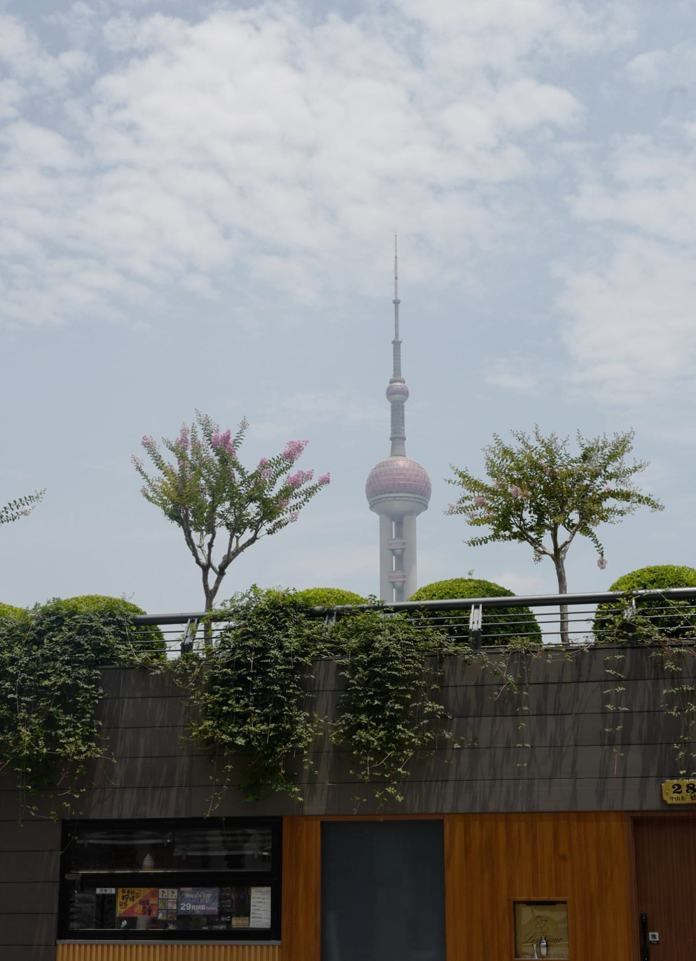 Seasonal flowers, like crape myrtle, viewed from The Bund