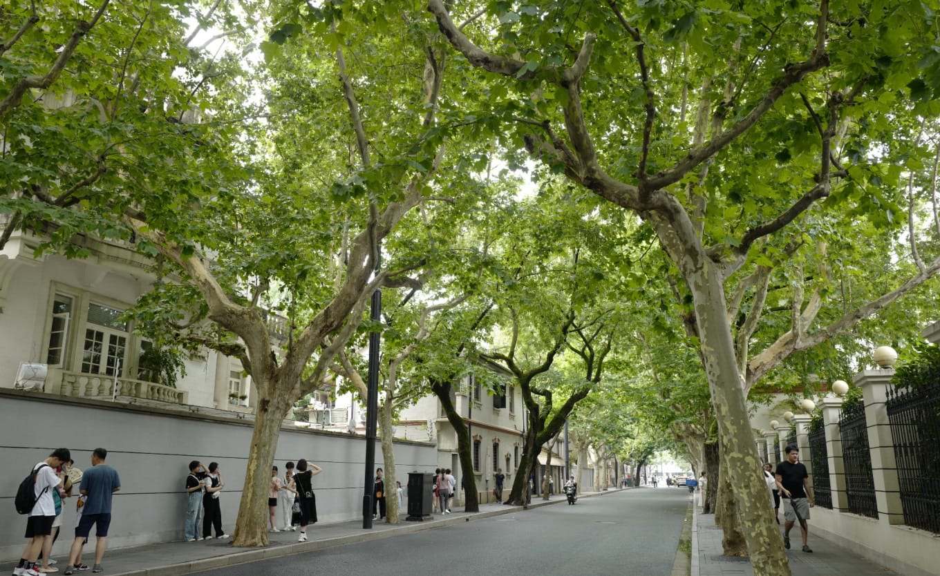 The former Italian Consulate building at 390 Wukang Road