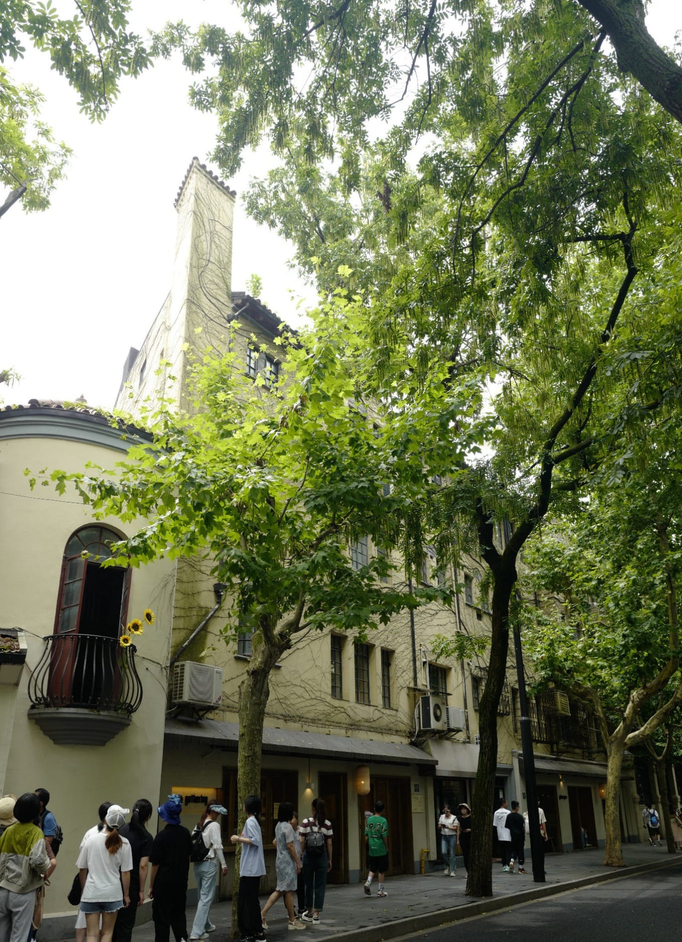 The red-brick house at 286 Wukang Road with hydrangeas blooming in summer