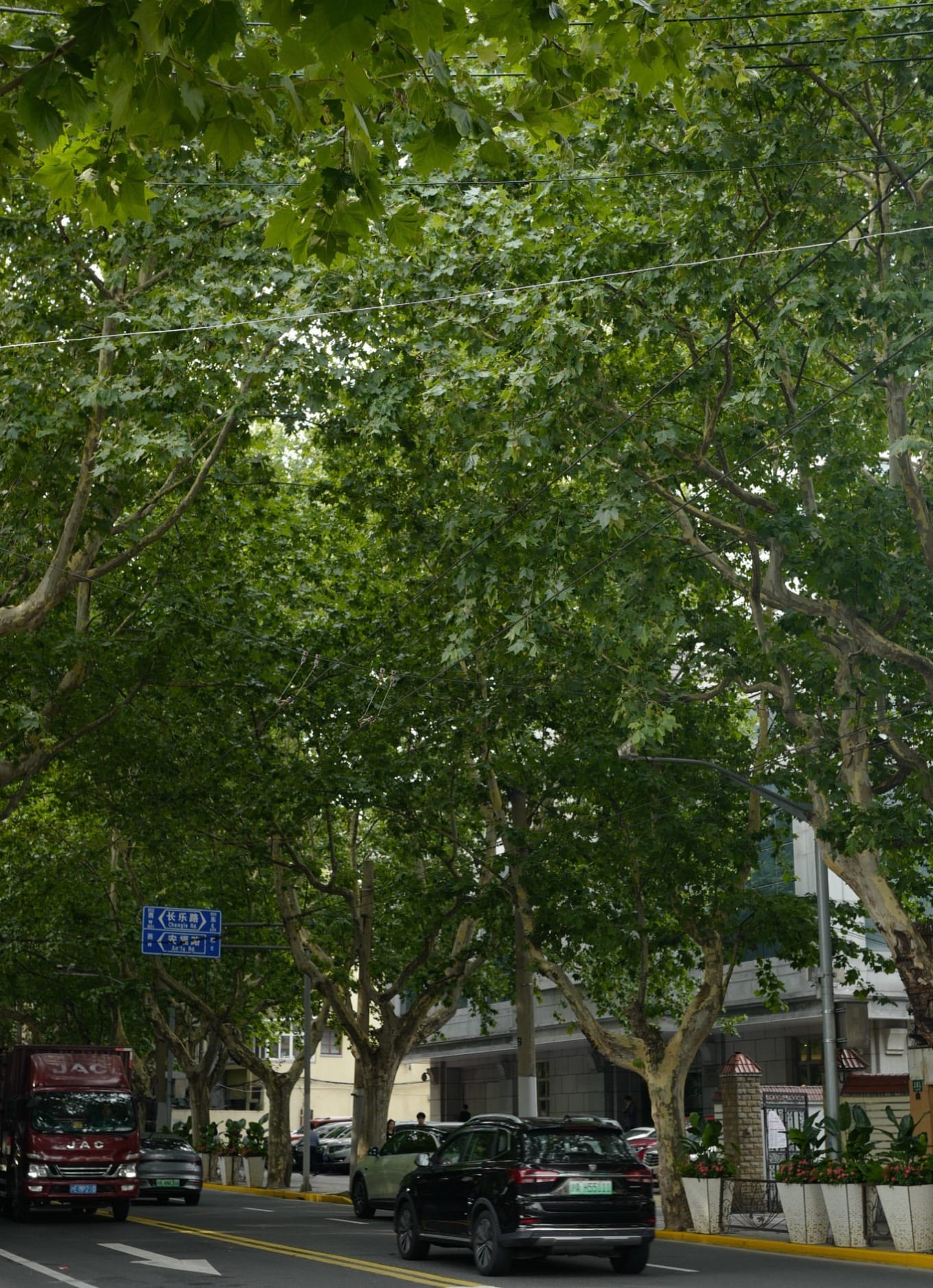 Curving, quiet Yanqing Road lined with historic buildings