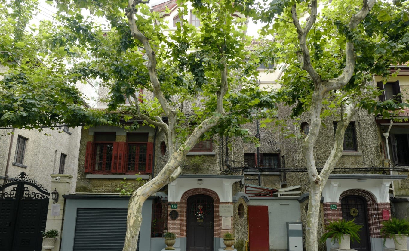 Elegant women's clothing boutique blending into the Yanqing Road streetscape