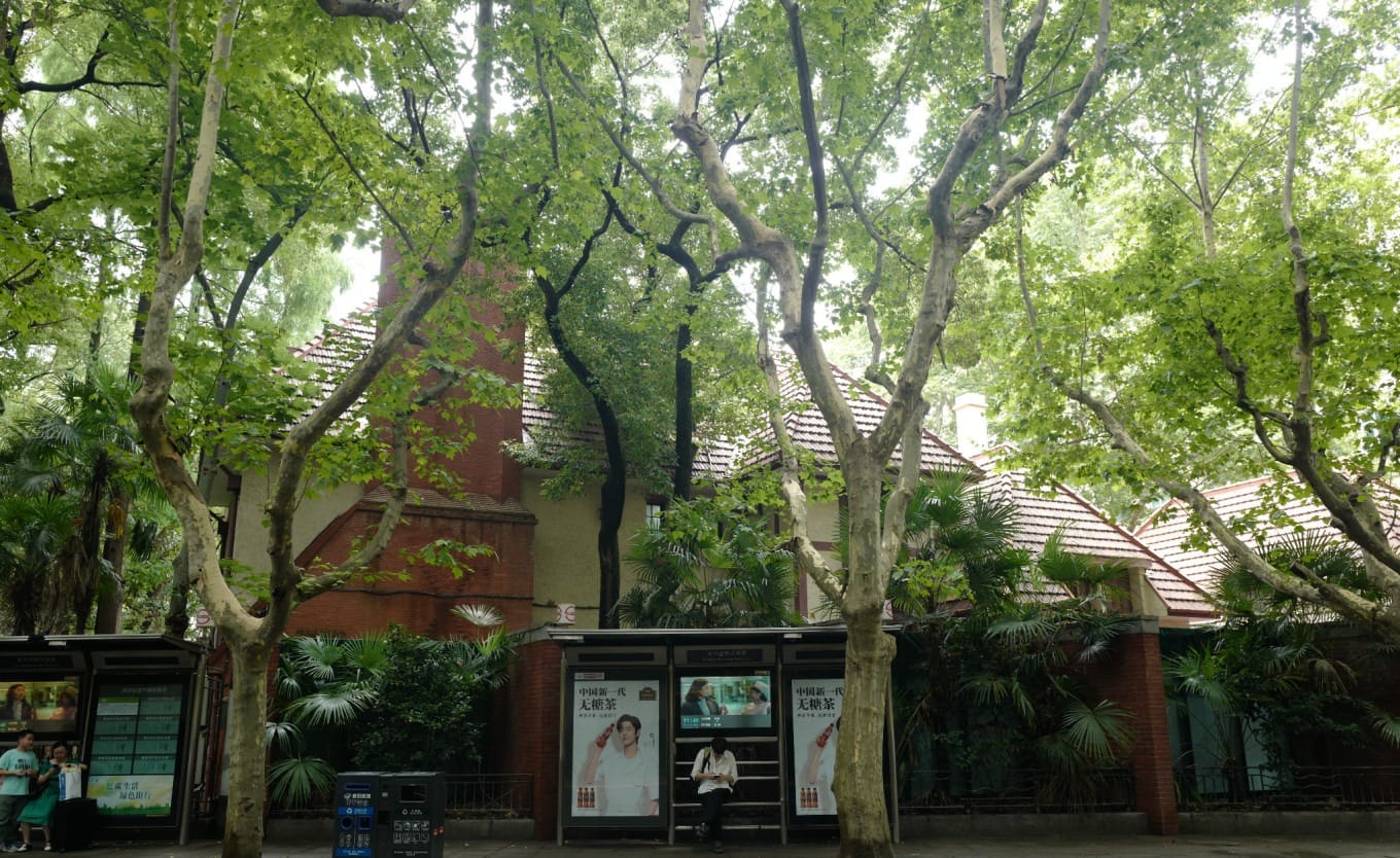 The garden surrounding the villa at 193 Fuxing West Road