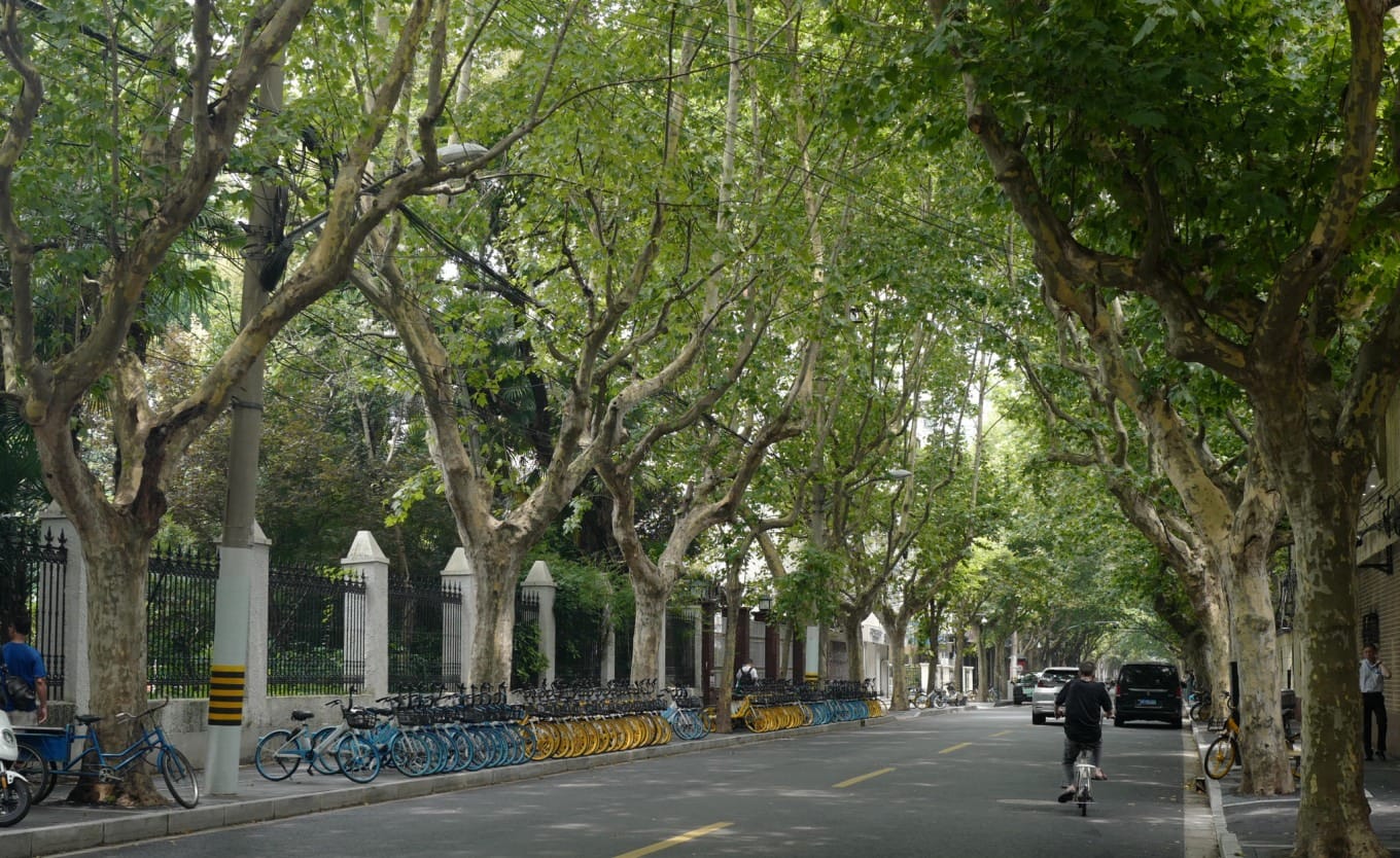 The intersection where Wukang Road ends and meets Huashan Road