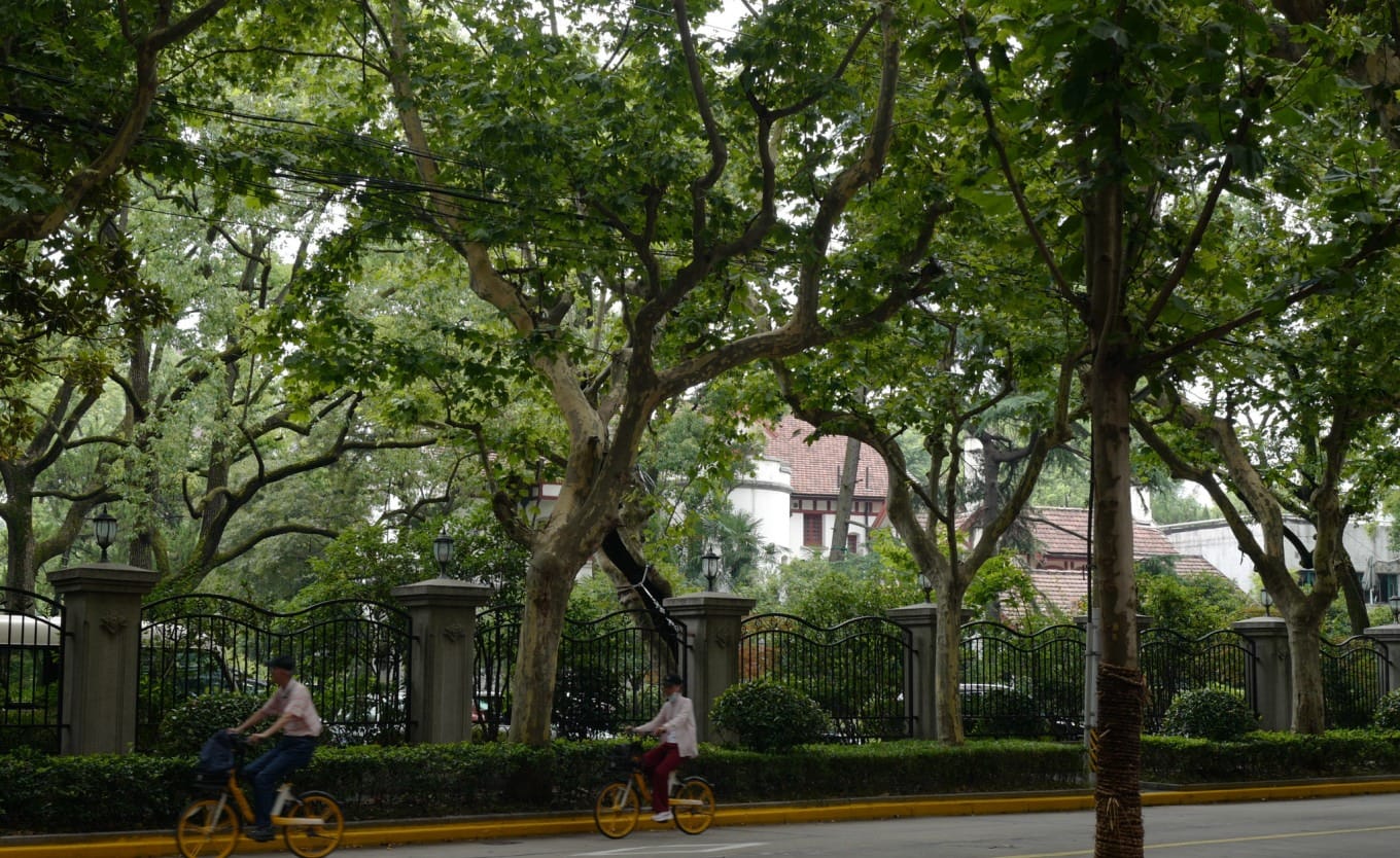 A bus stop on Huashan Road with a garden villa visible across the street
