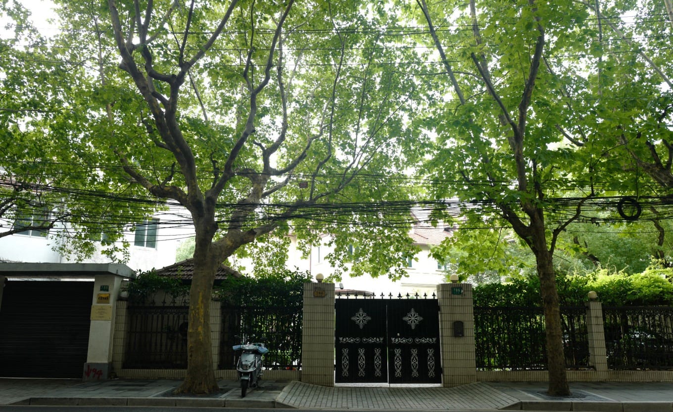 Quiet commercial shops and cafes along Yanqing Road