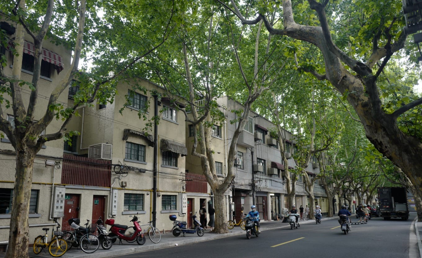 Dark brick garden villa at 51 Donghu Road near Changle Road