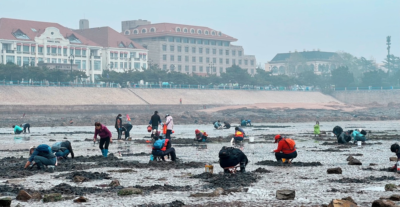 People beachcombing at low tide near Zhanqiao Pier