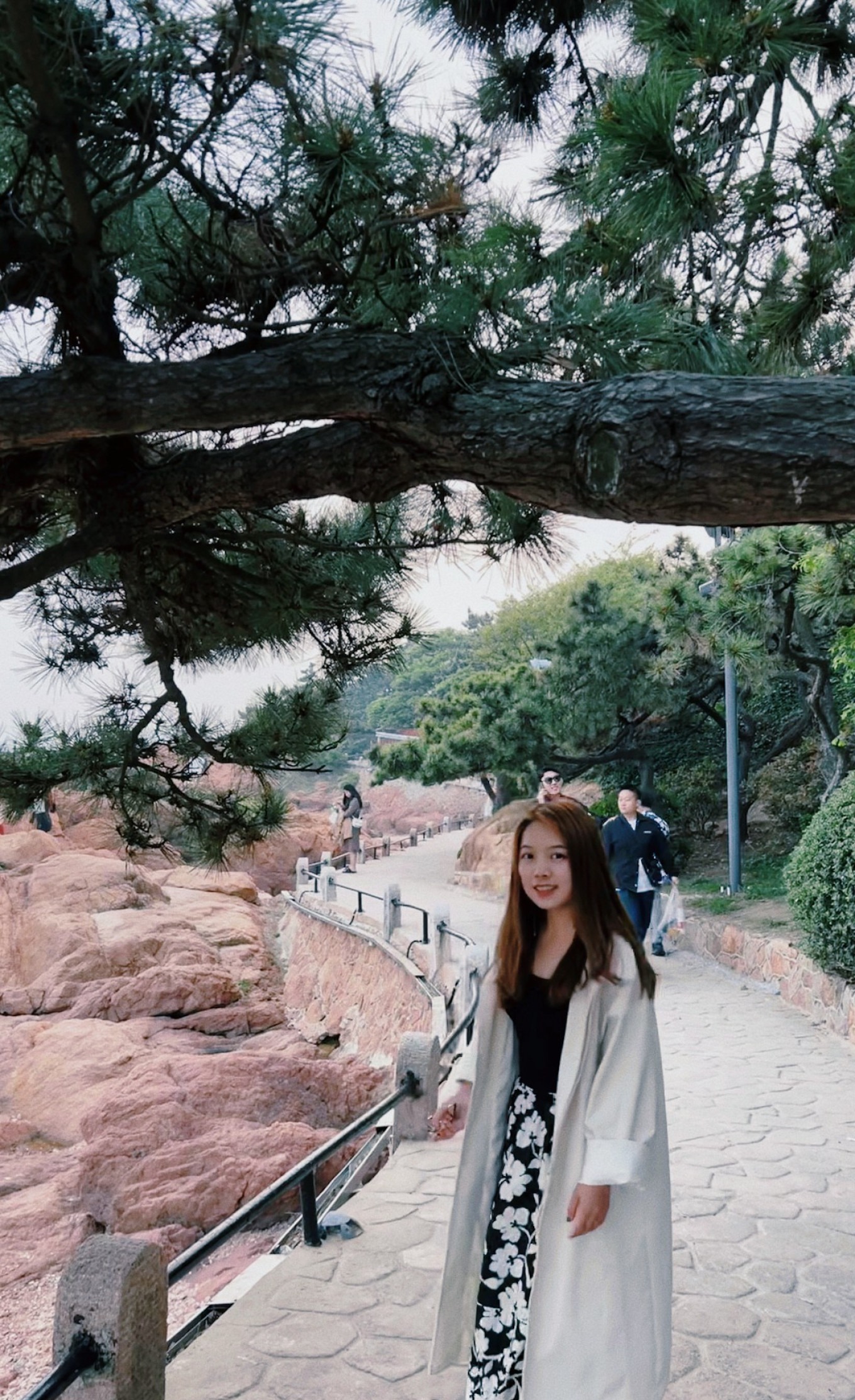 Pine trees and sea at Lu Xun Park