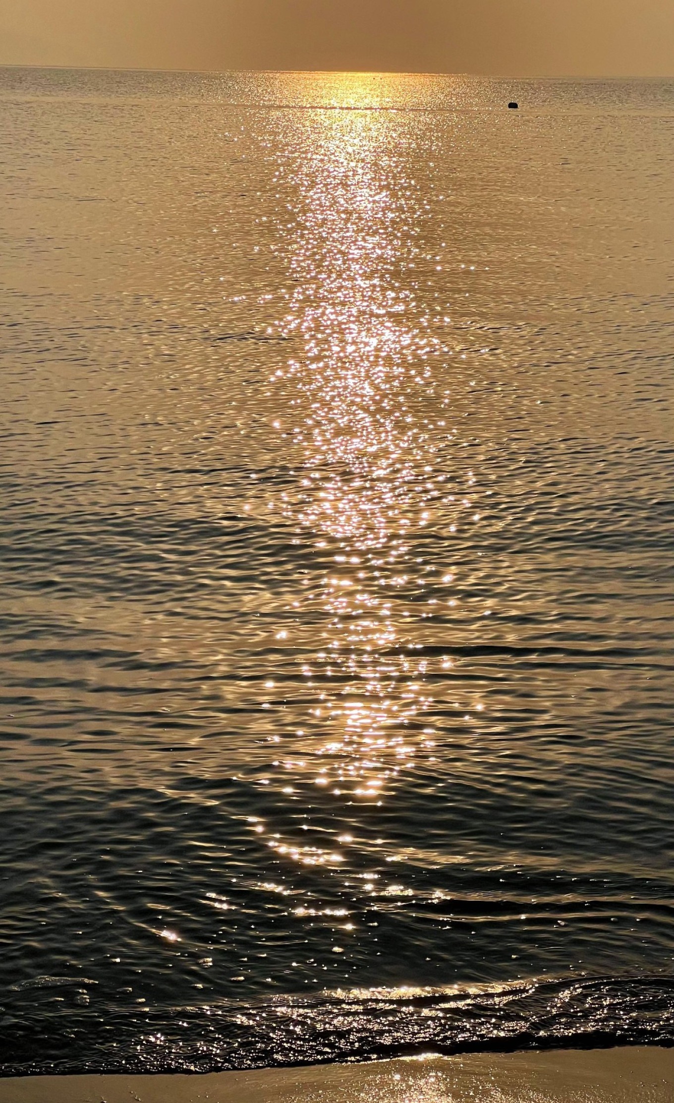 People enjoying sunset on the beach