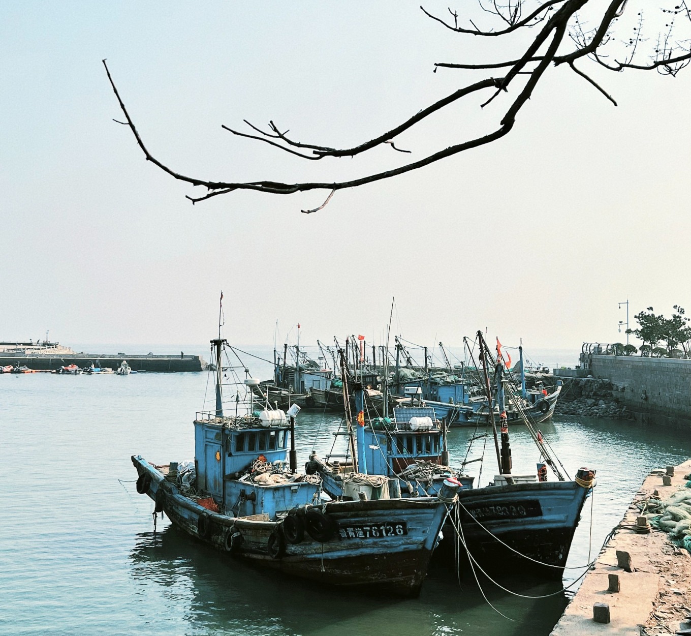 Another coastal view