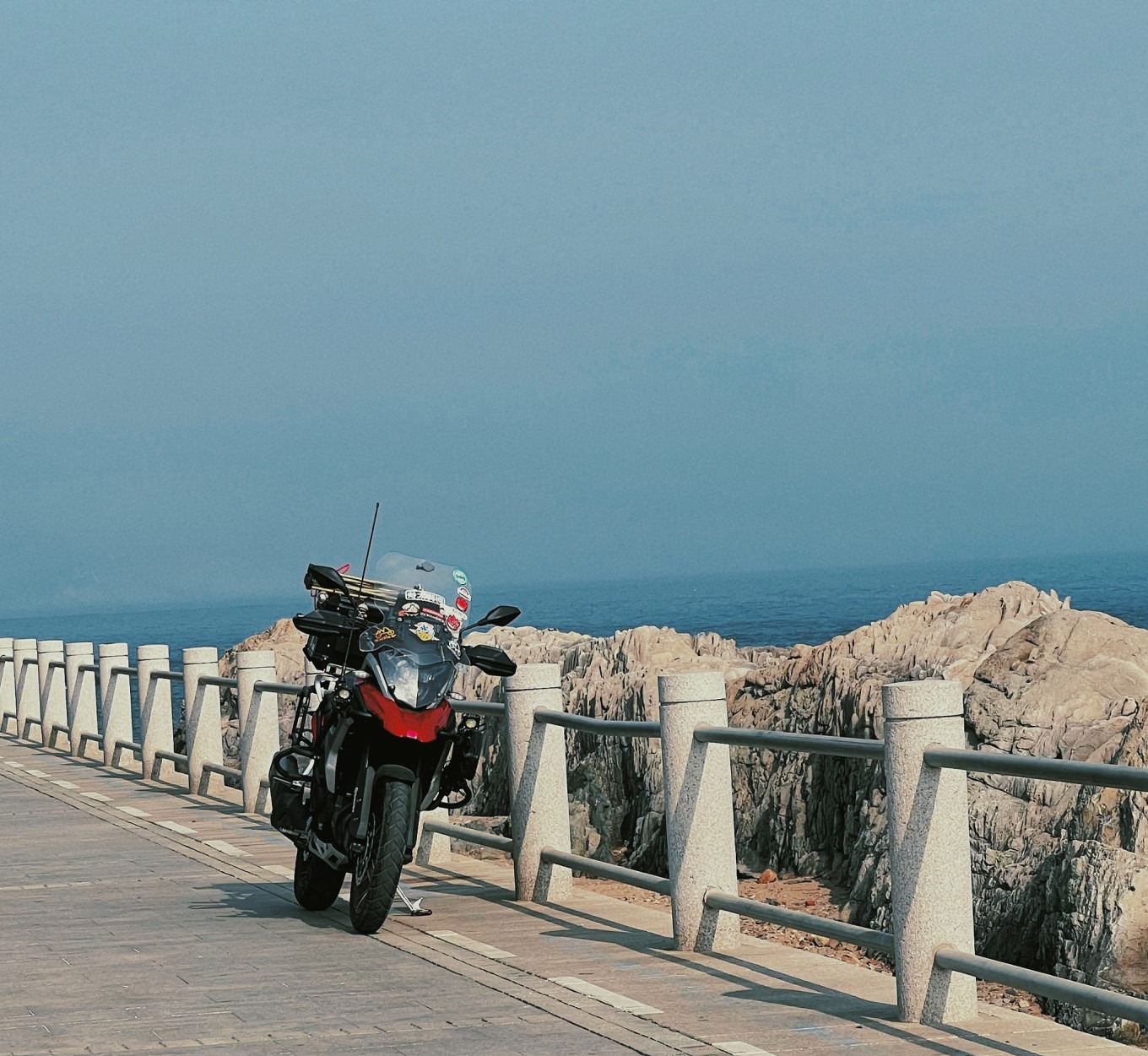 Seagulls diving for fish