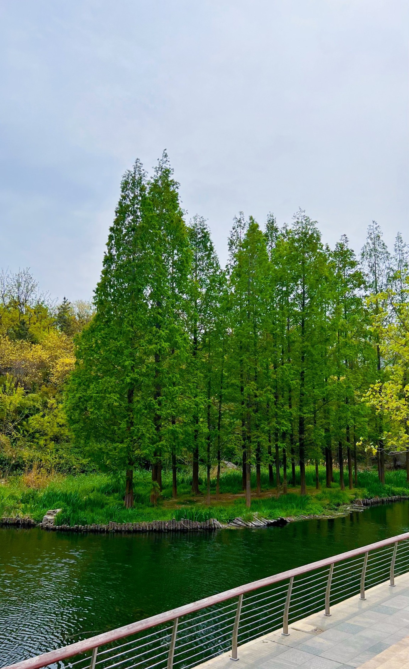 Licun Park greenery