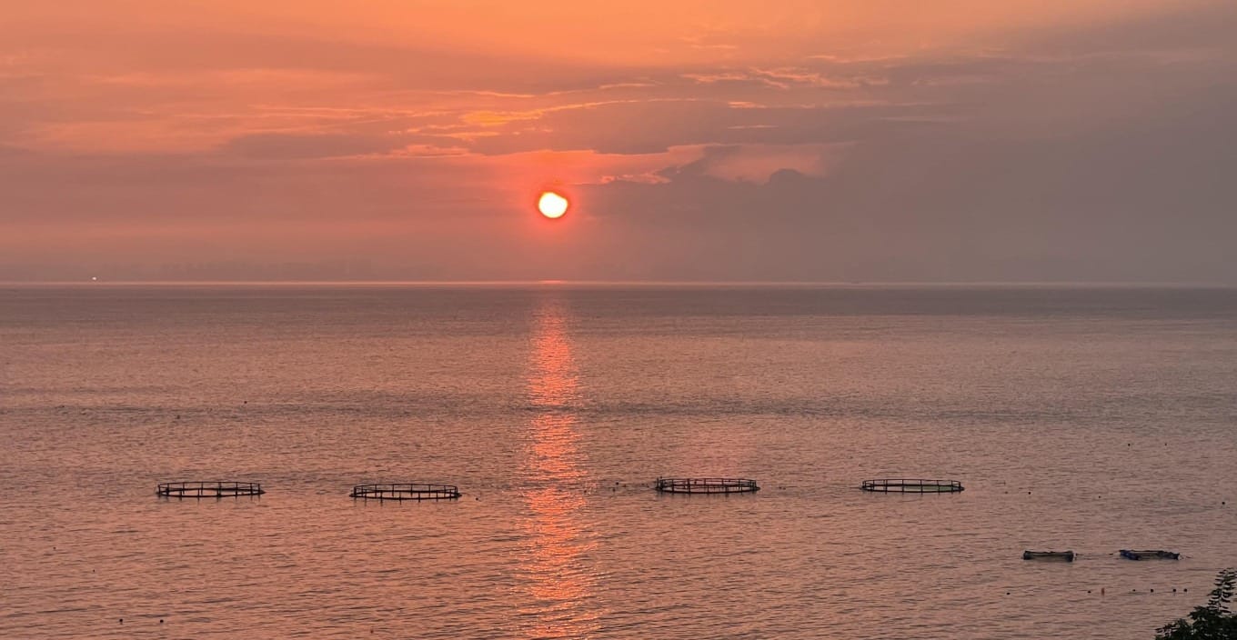 Sunset colors reflecting on the sea
