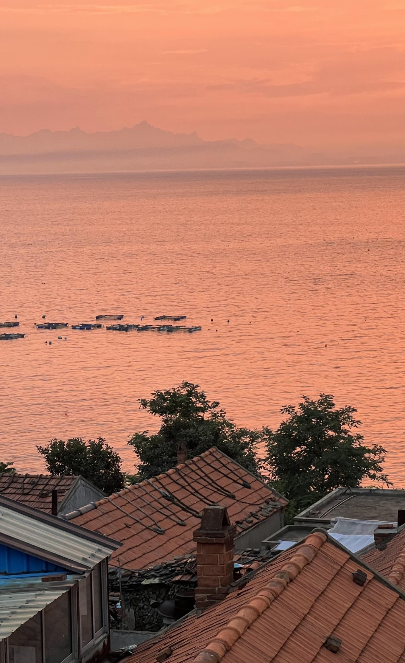 Evening glow on the water