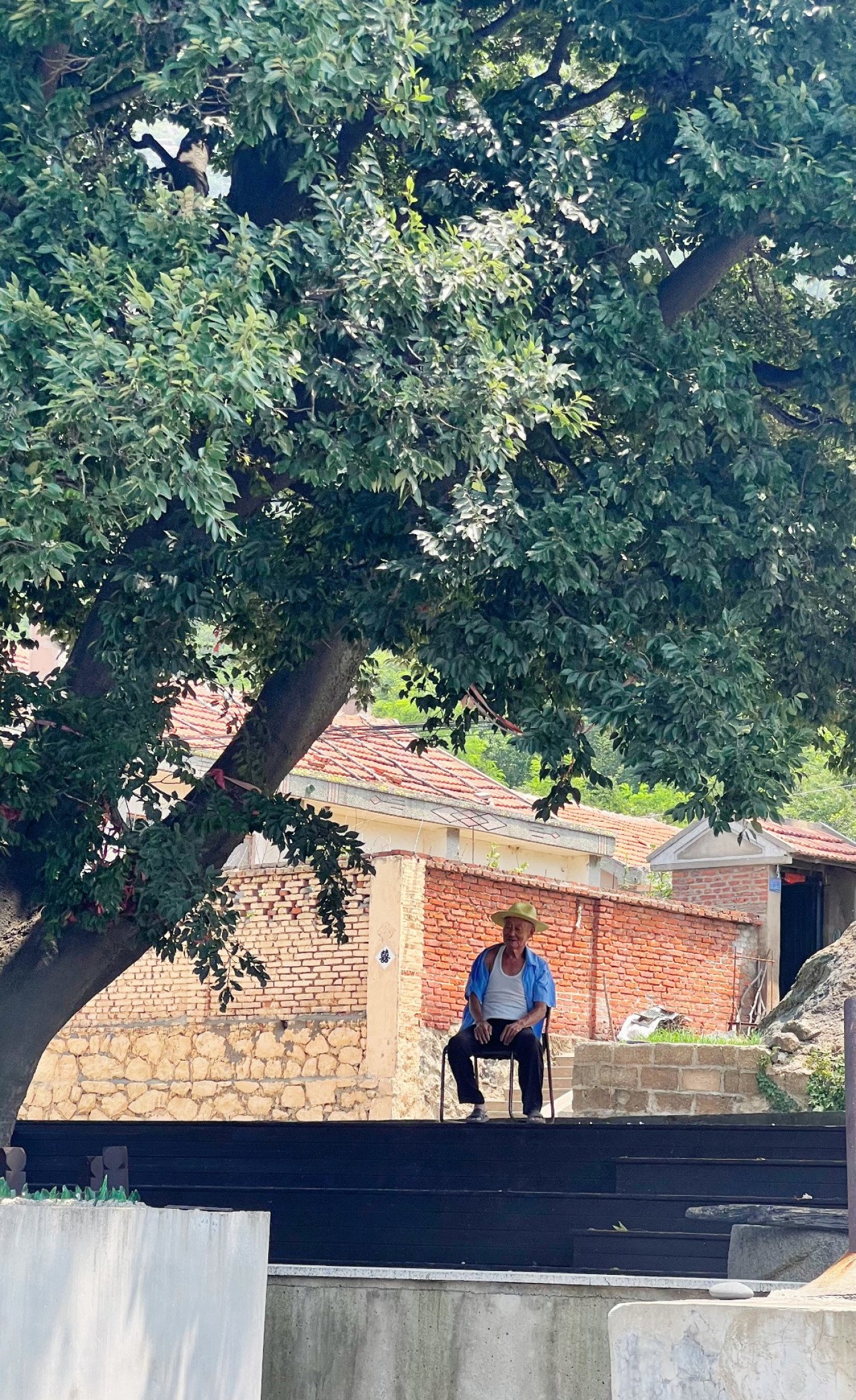 Elderly fisherman sitting under an old tree