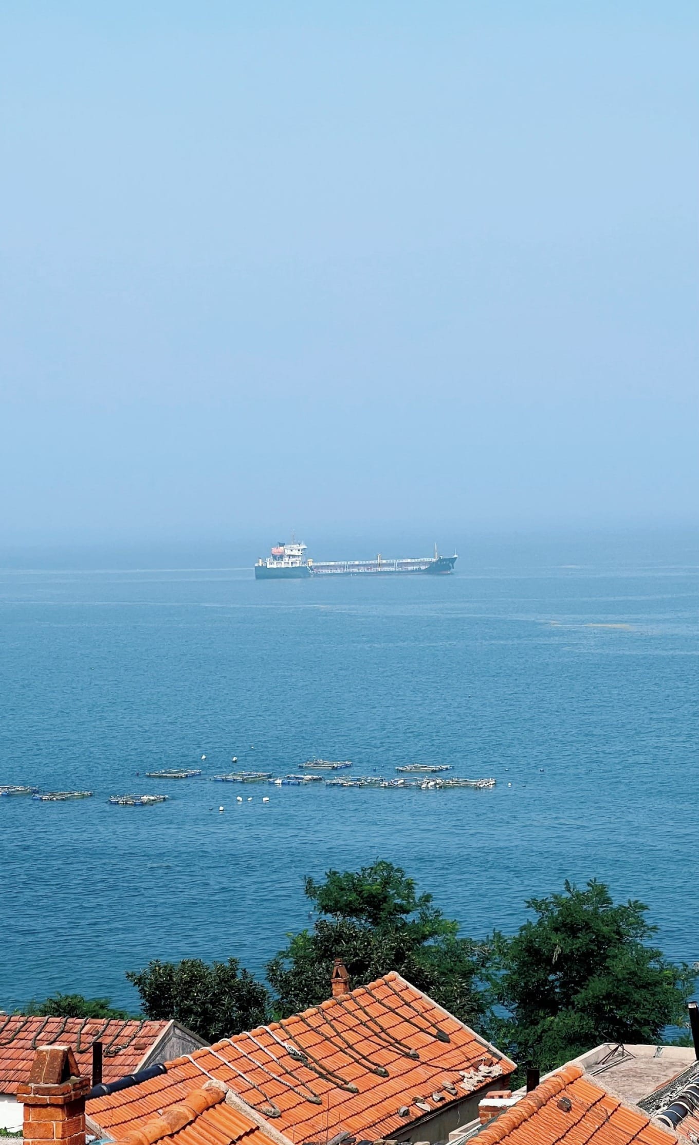 Cruise ship on the horizon