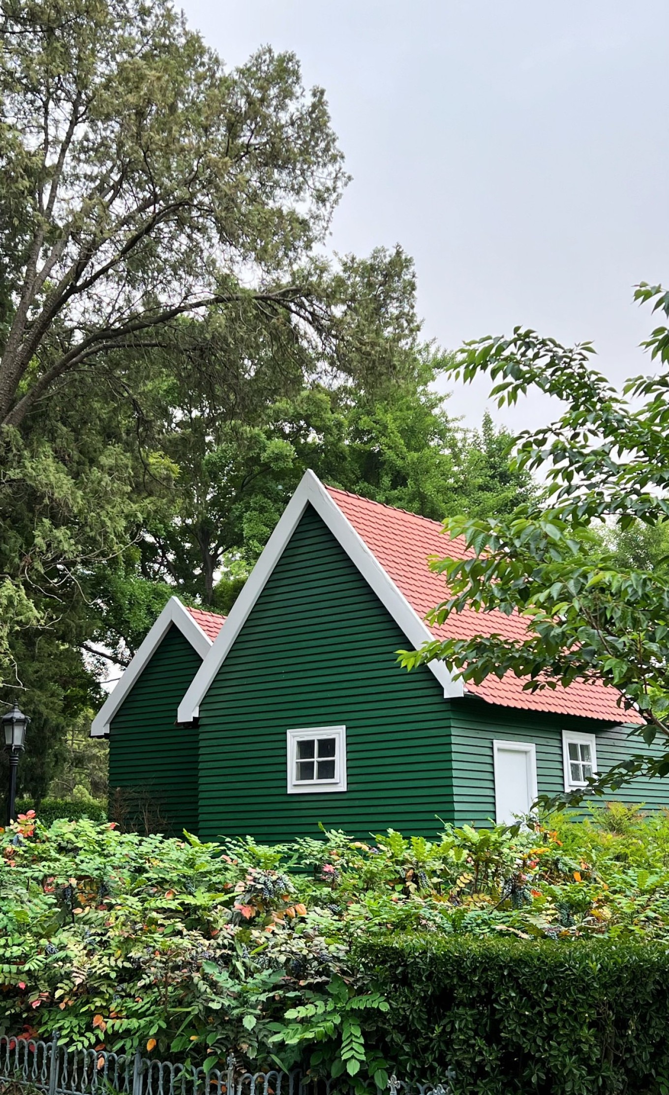 Verdant trees and pathways in Zhongshan Park