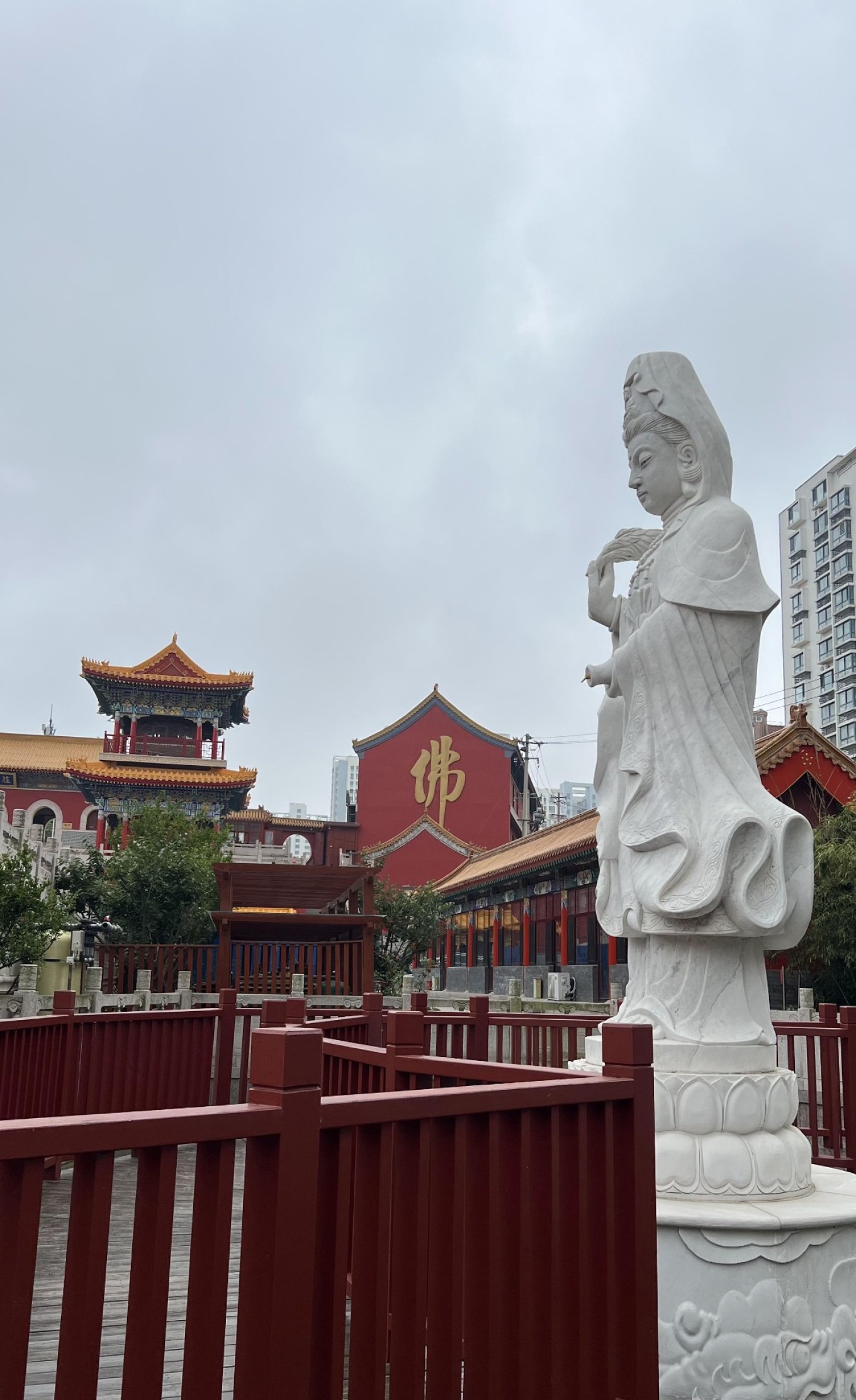 Ancient ginkgo tree at Guanyin Temple