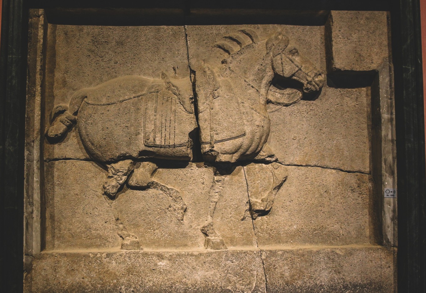Close-up of the Six Steeds of Zhao Mausoleum stone reliefs