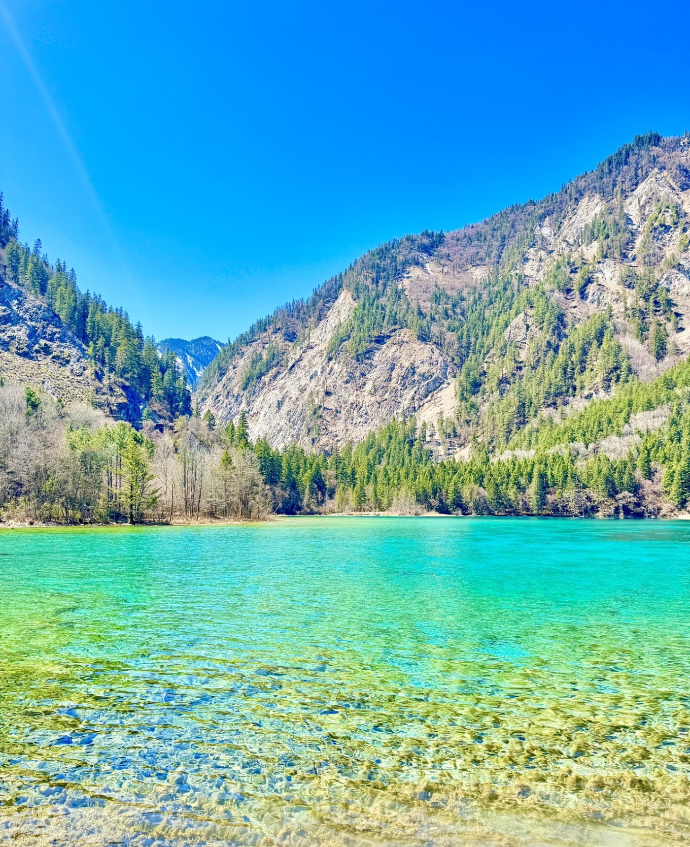 Panda Lake with clear water and submerged tree trunks
