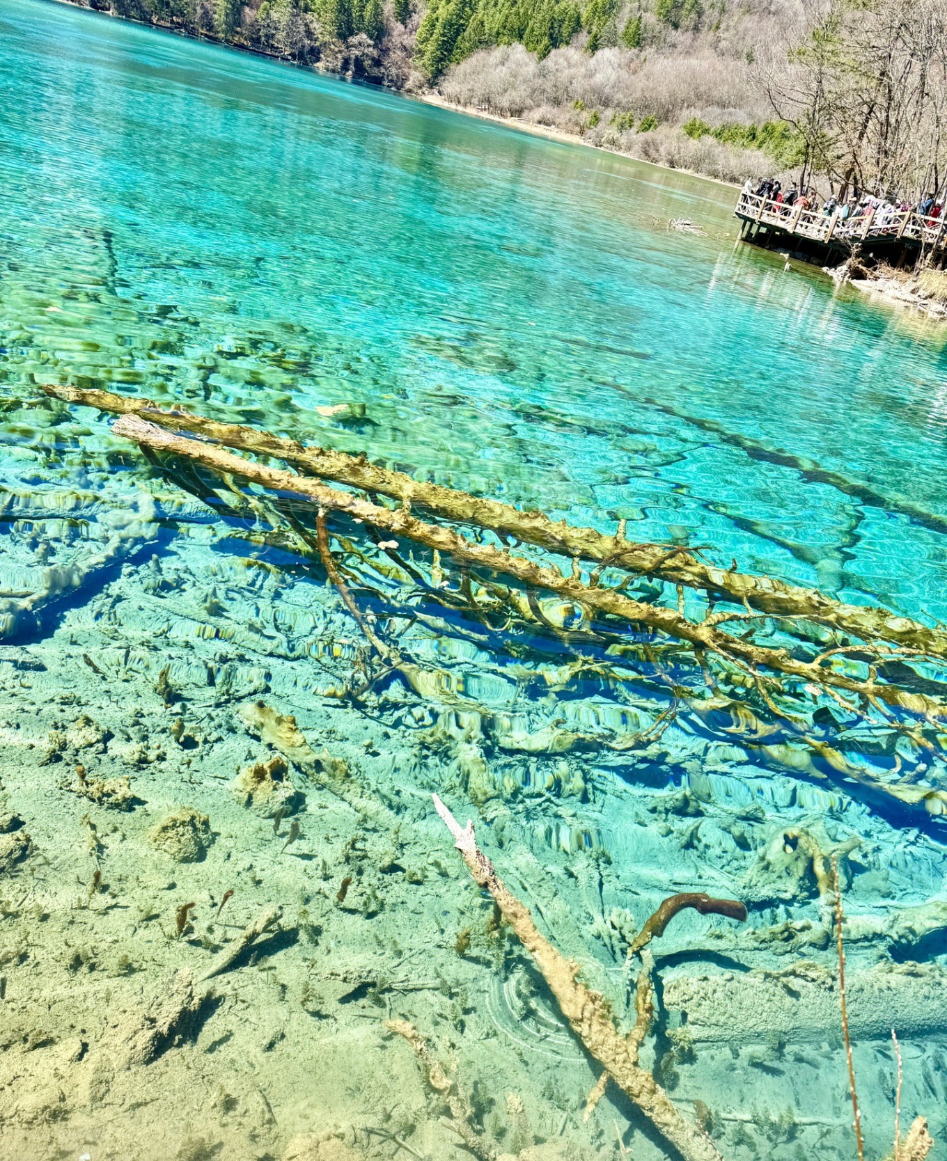 Five Flower Lake displaying multiple shades of blue and green