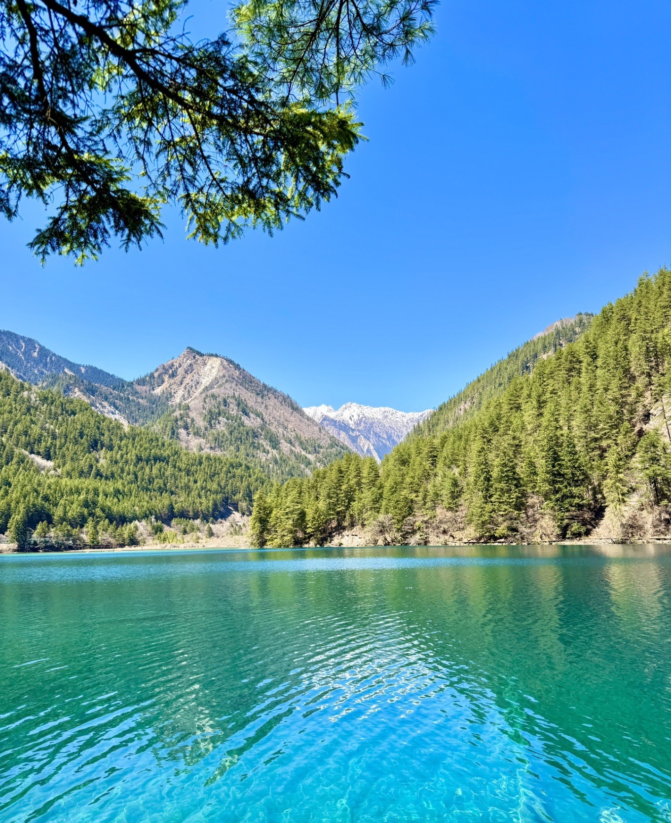 8-Day Sichuan Electric Car Itinerary: Jiuzhaigou to Chengdu
