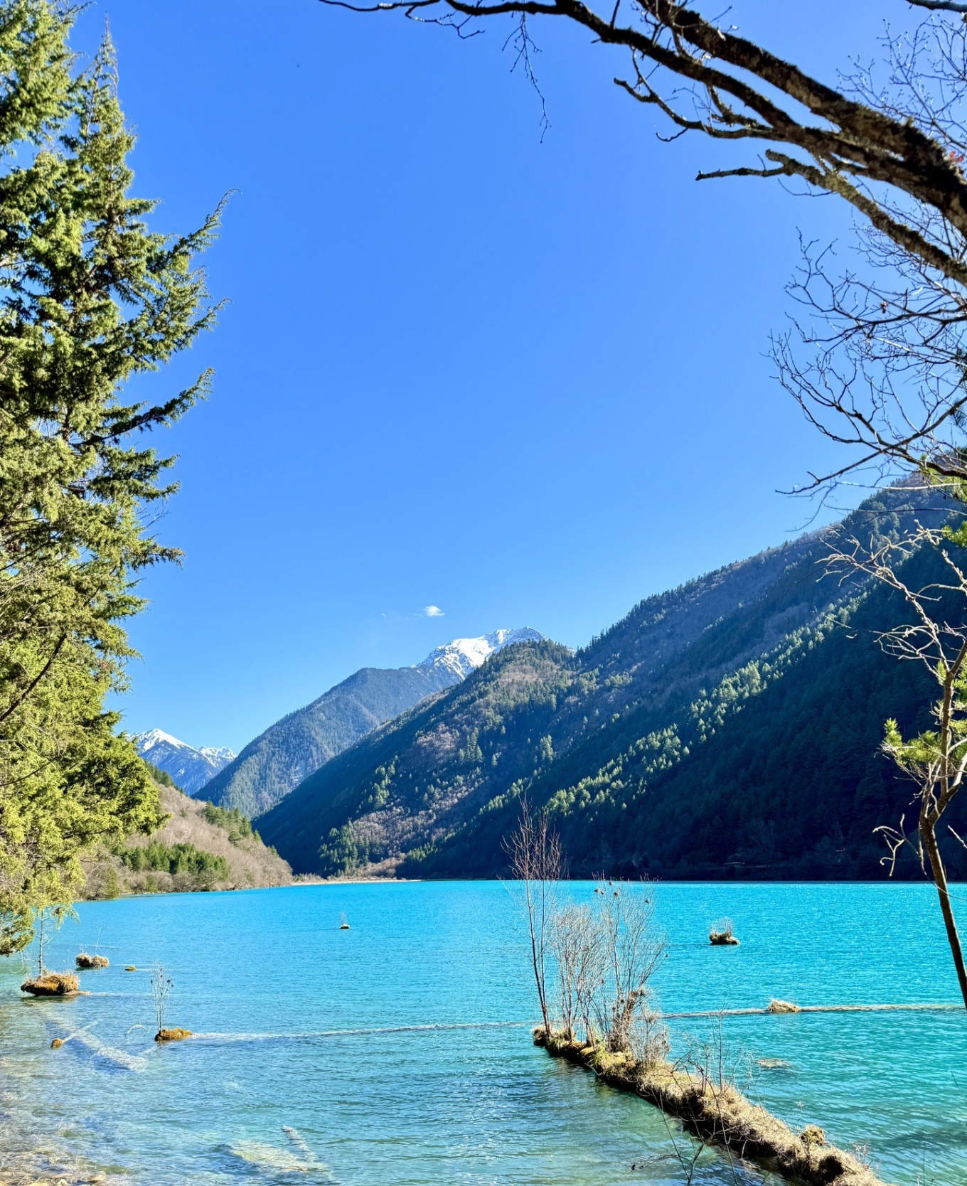 Reed Lake covered with reeds and clear water
