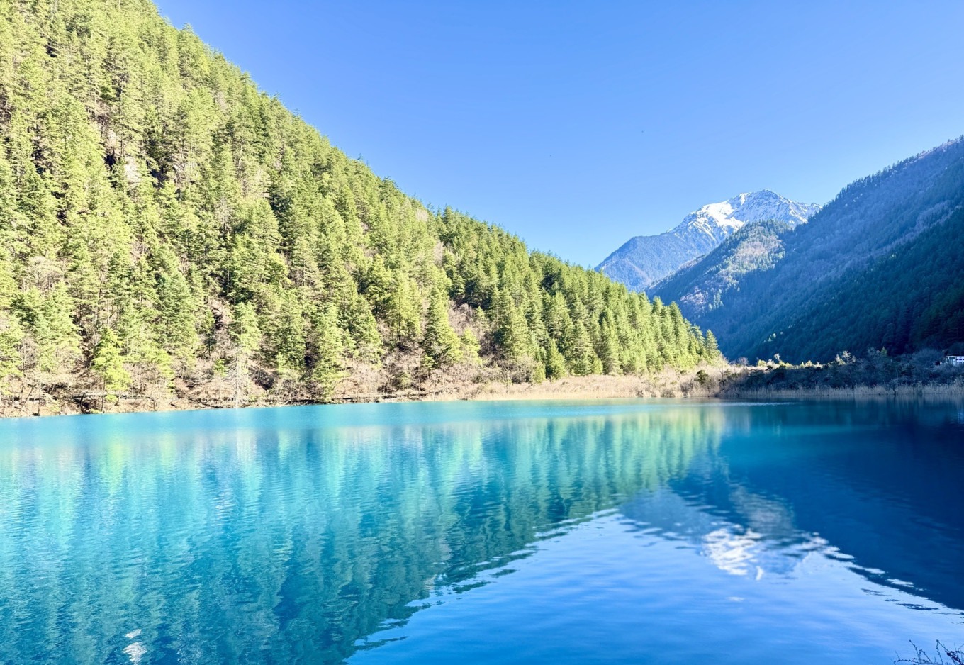 Tiger Lake with distinctive patterns on the lakebed