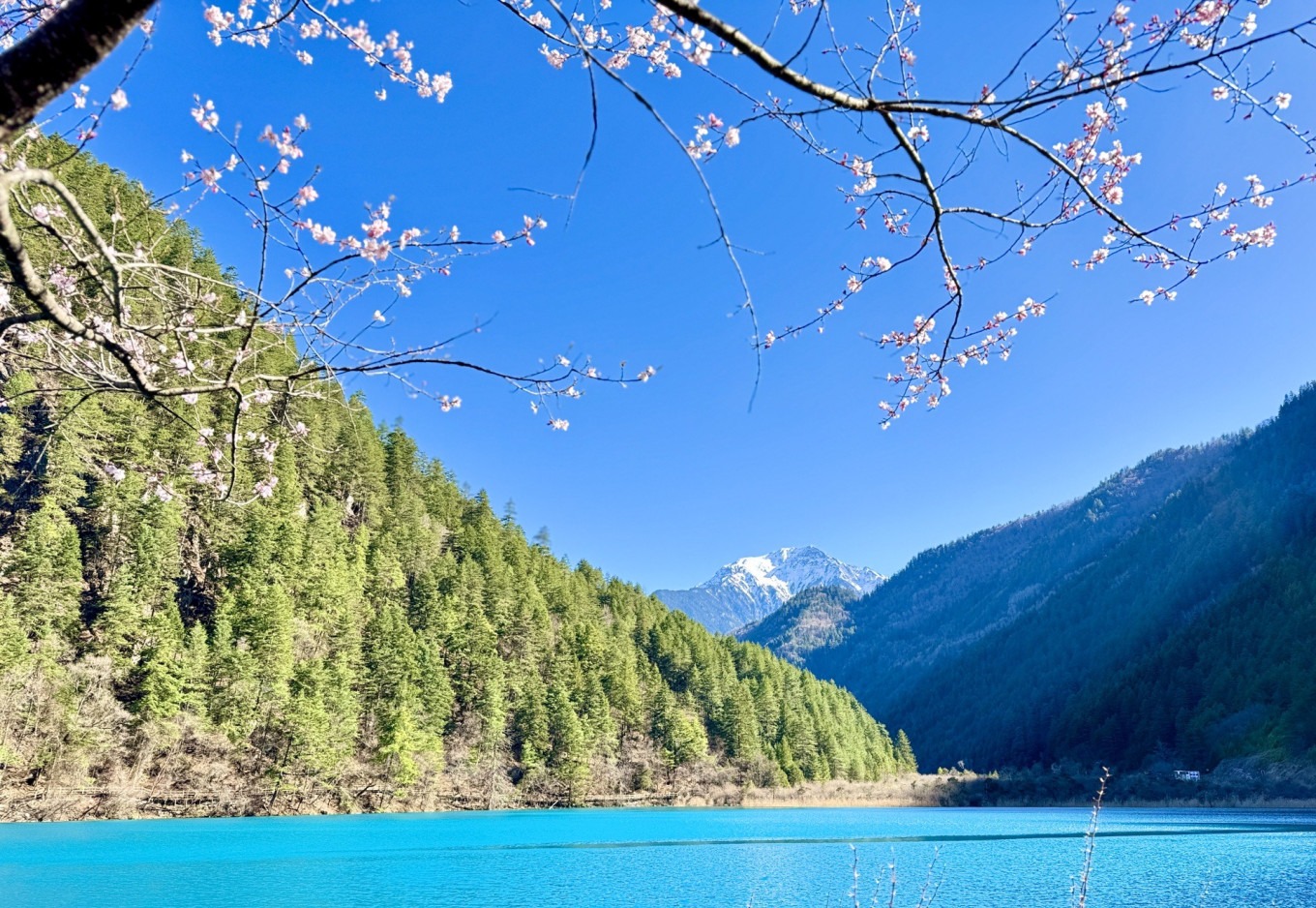 Sparkling waterfall in Shuzheng Valley